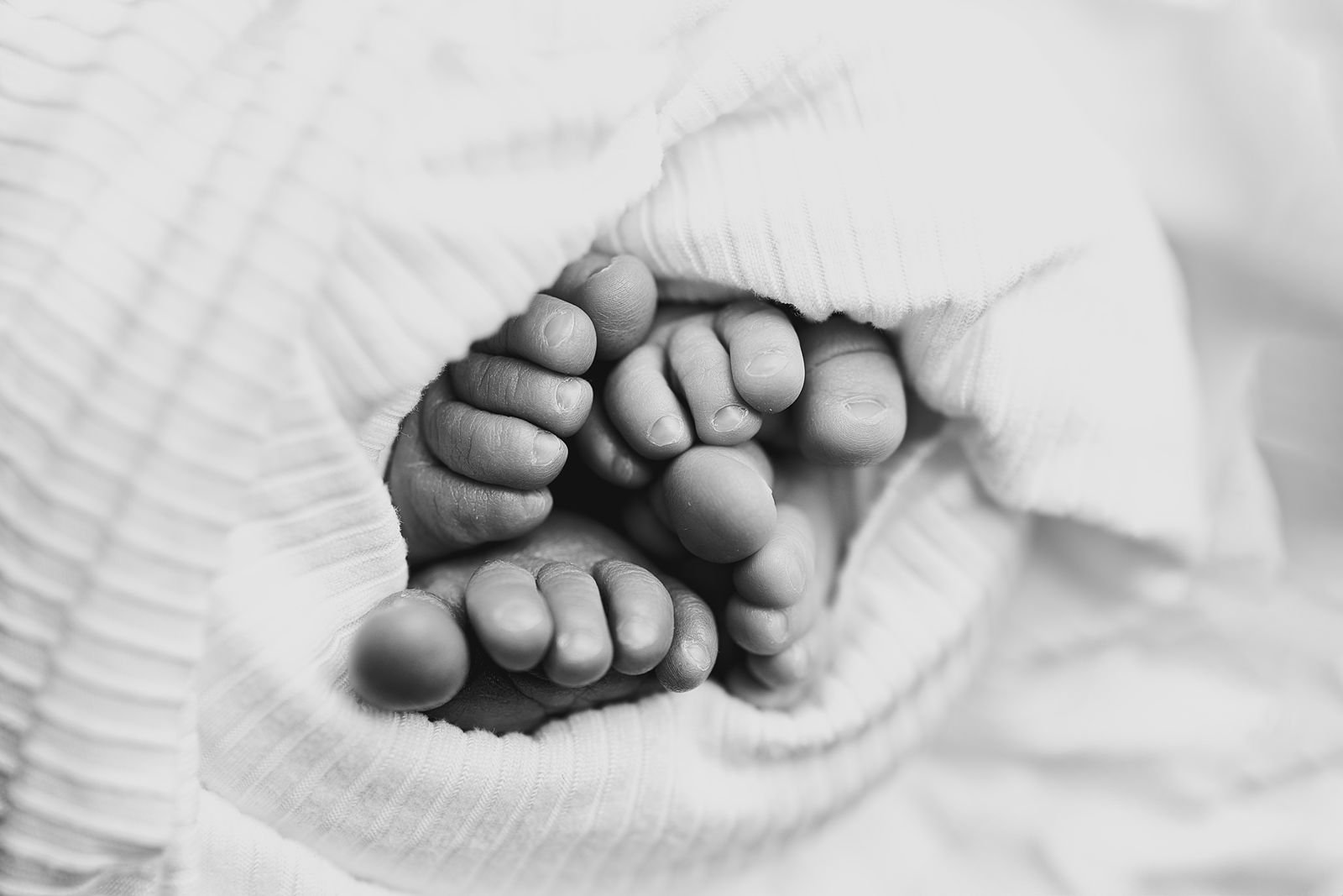 Michiana Twin Newborn Photographer.jpg