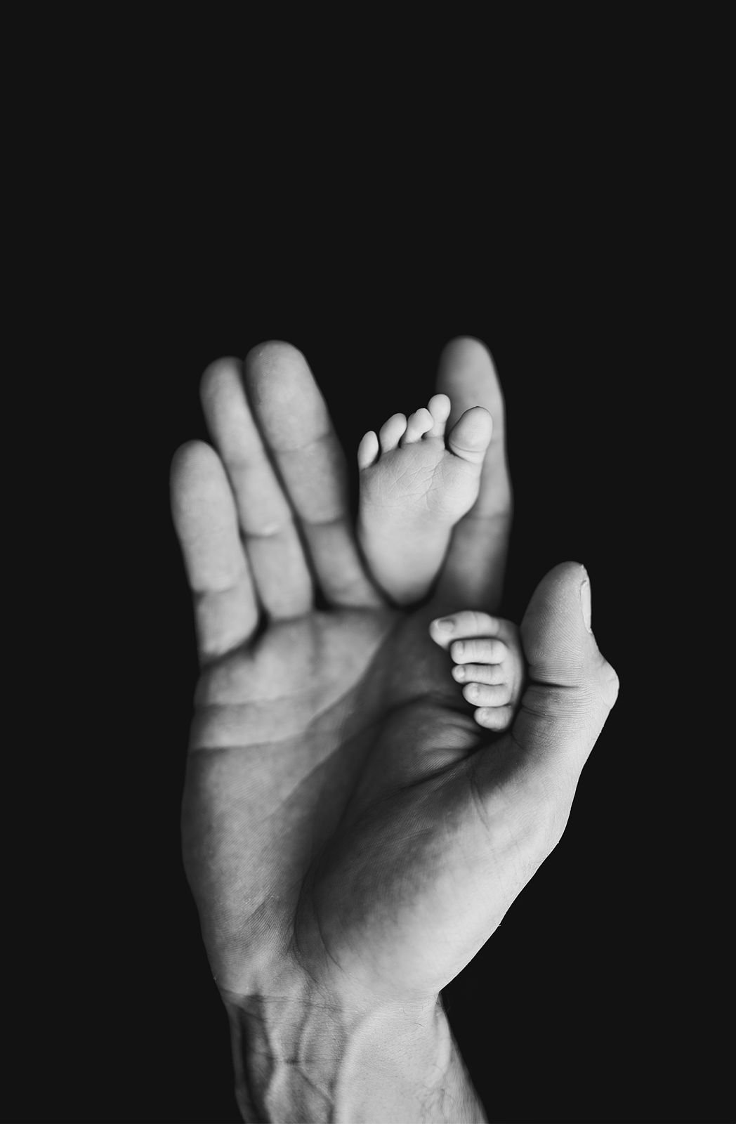 Portage Indiana's Best Newborn Photographer.jpg