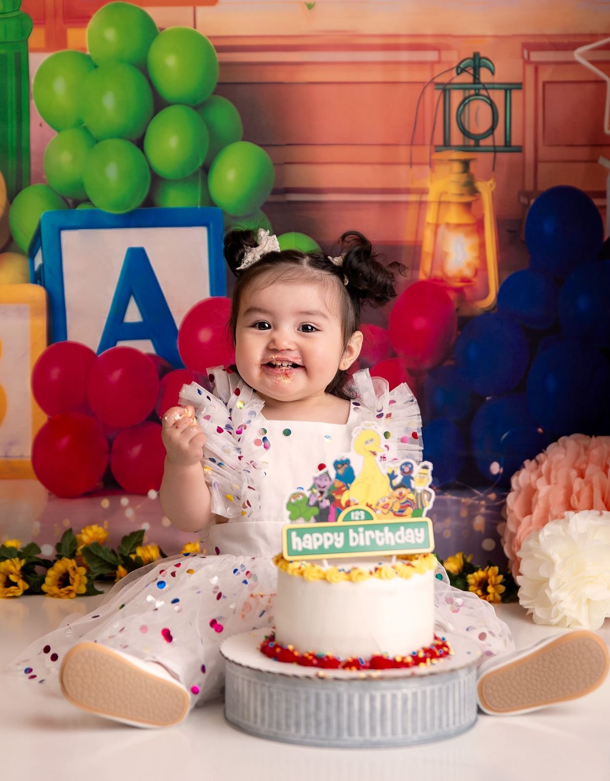 Plymouth Indiana First Birthday Photographer.jpg