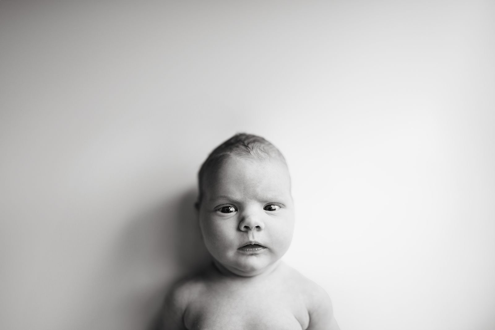 Northwest Indiana Best Luxury Newborn Photography Studio.jpg