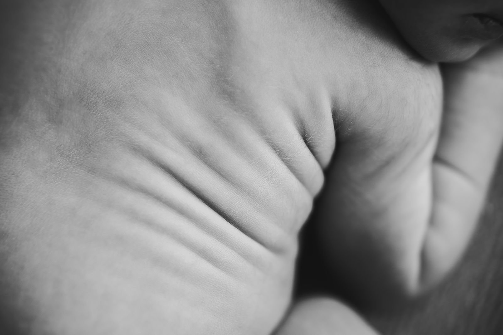 Newborn Photographer LaPorte County Indiana.jpg