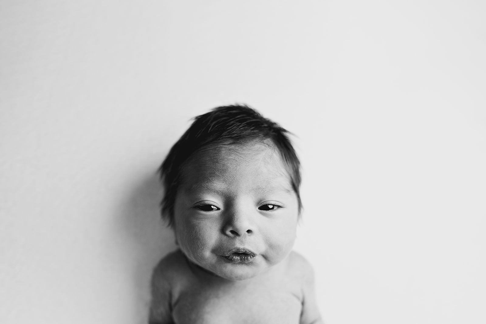 Luxury Newborn Photographer in NWI.jpg