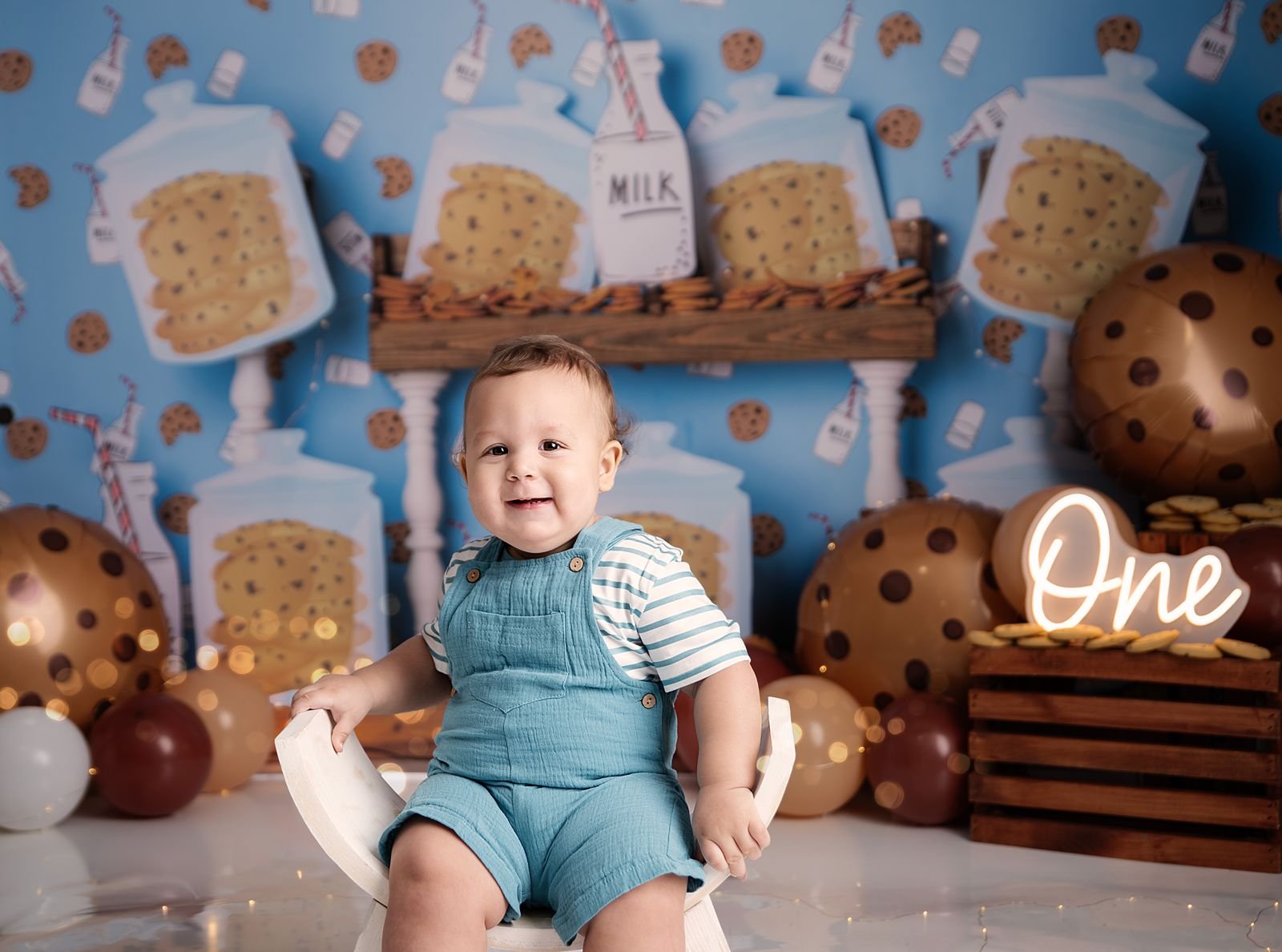 Baby's First Birthday Photographer near Chesterton Indiana.jpg