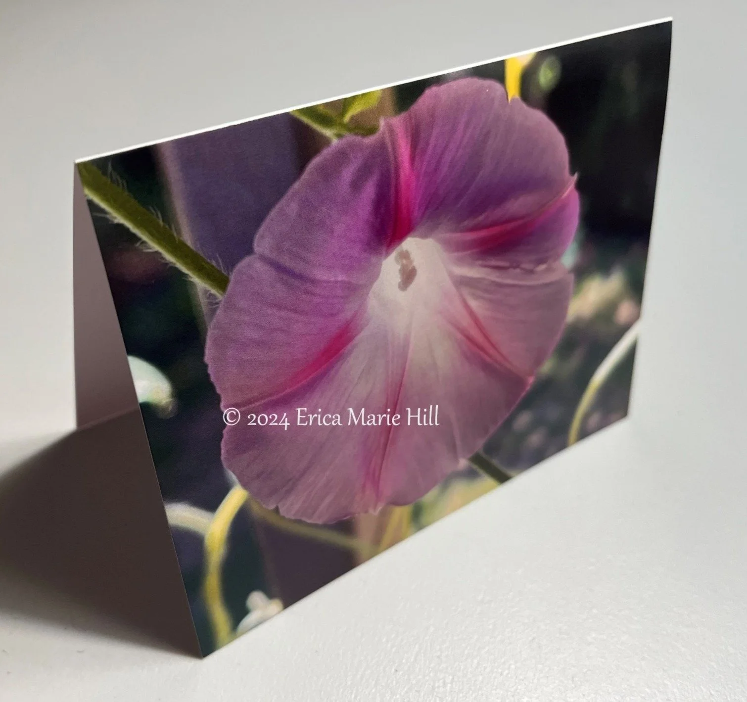 Pink Morning Glory Card front-side angle.jpg