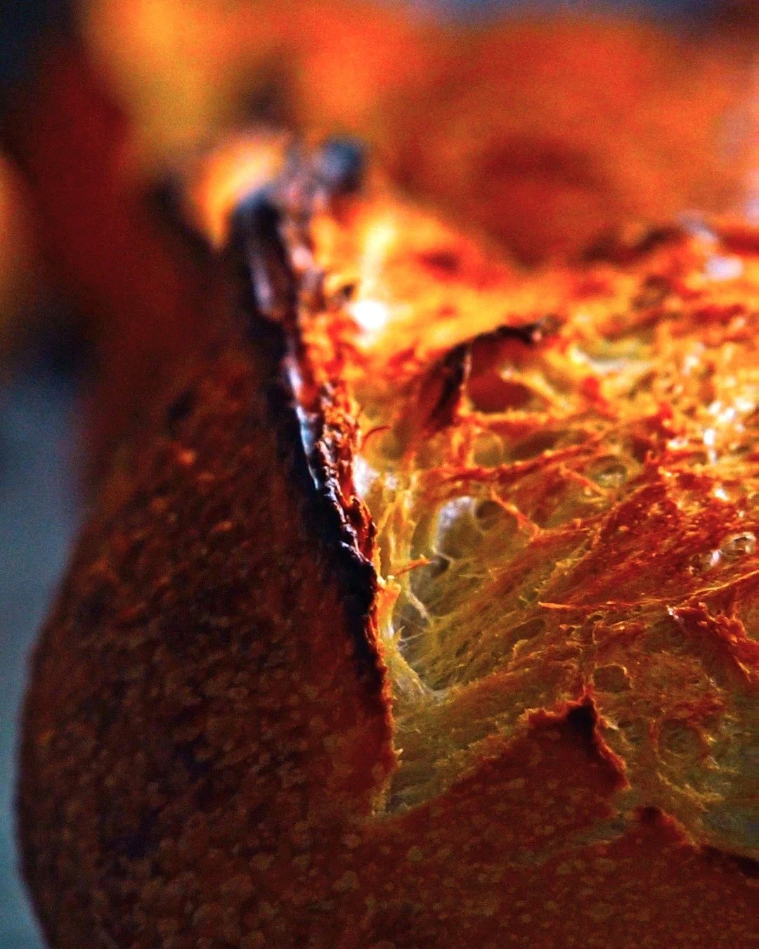 Golden, blistered, and full of character 🥖
Our Wheat Sourdough is as simple as it gets. Just flour, water, salt, and time.
48 hours from start to finish, naturally fermented for a full flavour and soft, open crumb.
It&rsquo;s the kind of bread that 