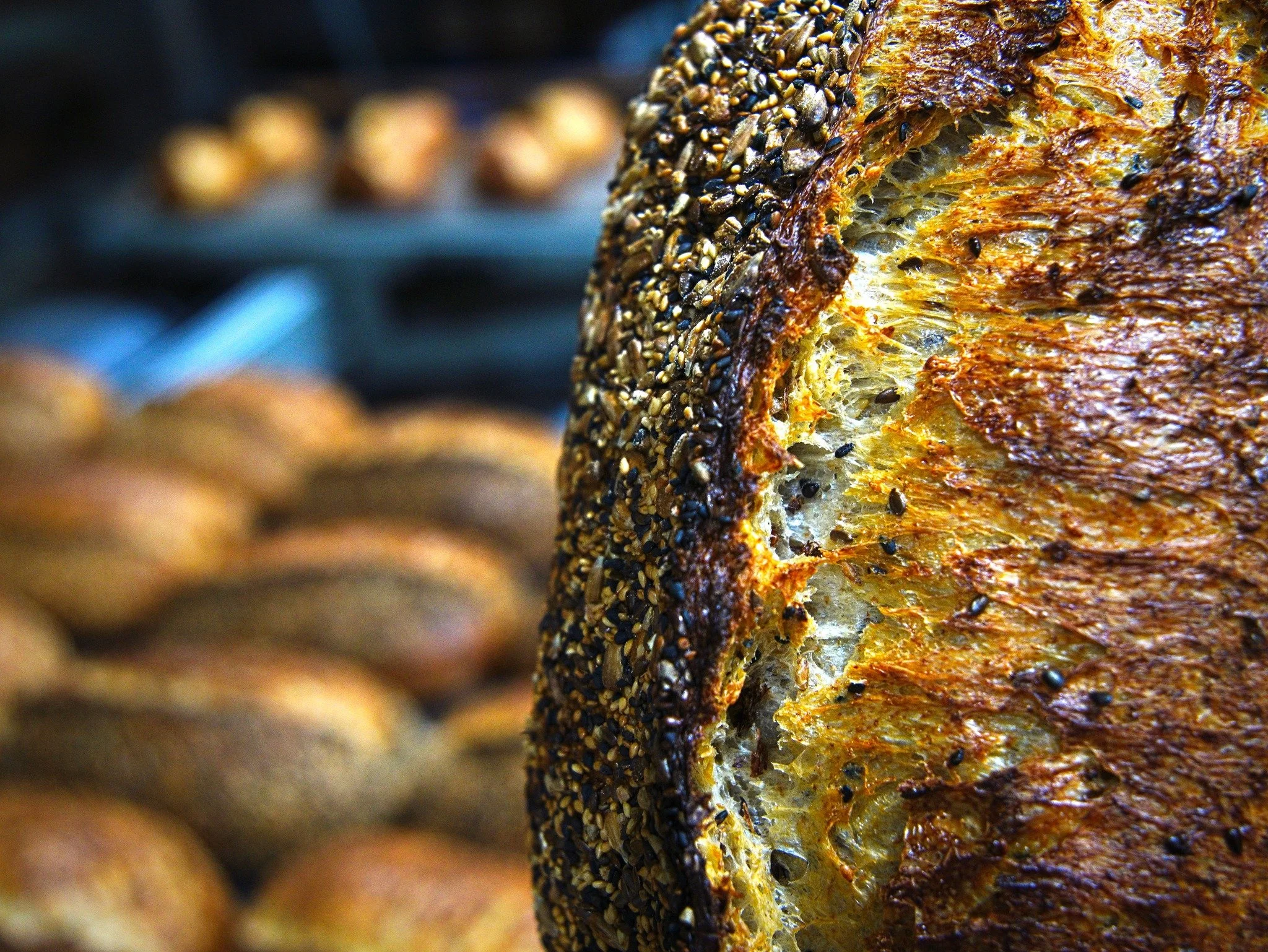 Oh my! This delicious multigrain sourdough can be all yours for just $9.99 this weekend! 🤤

Find us at:
🥖 @parnellfarmersmarket &mdash; Saturday, 8am&ndash;12pm
🥖 @greylynnfarmersmarket &mdash; Sunday, 8:30am&ndash;12pm
☕ @redrabbitcoffeeco &mdash