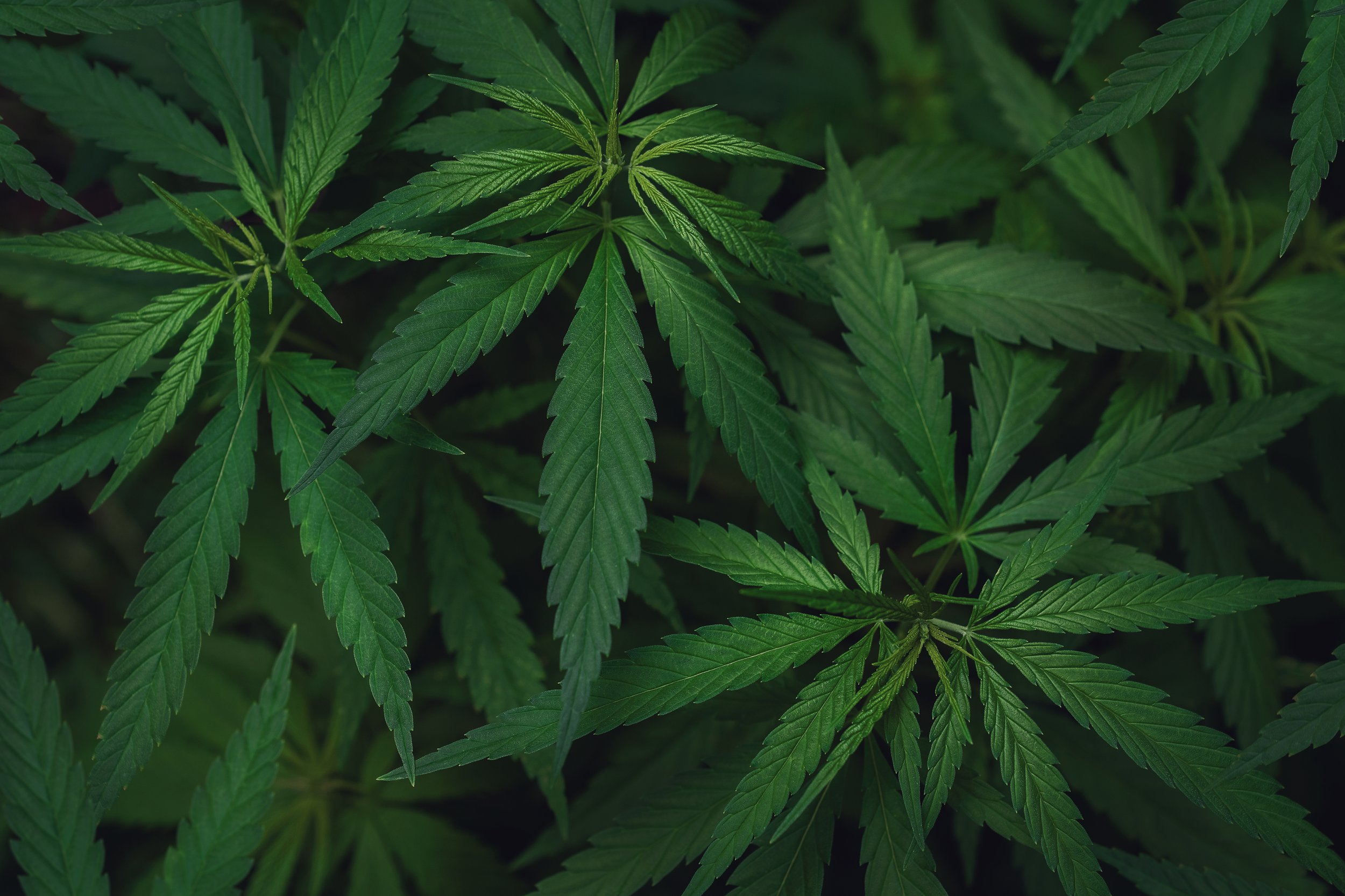 420