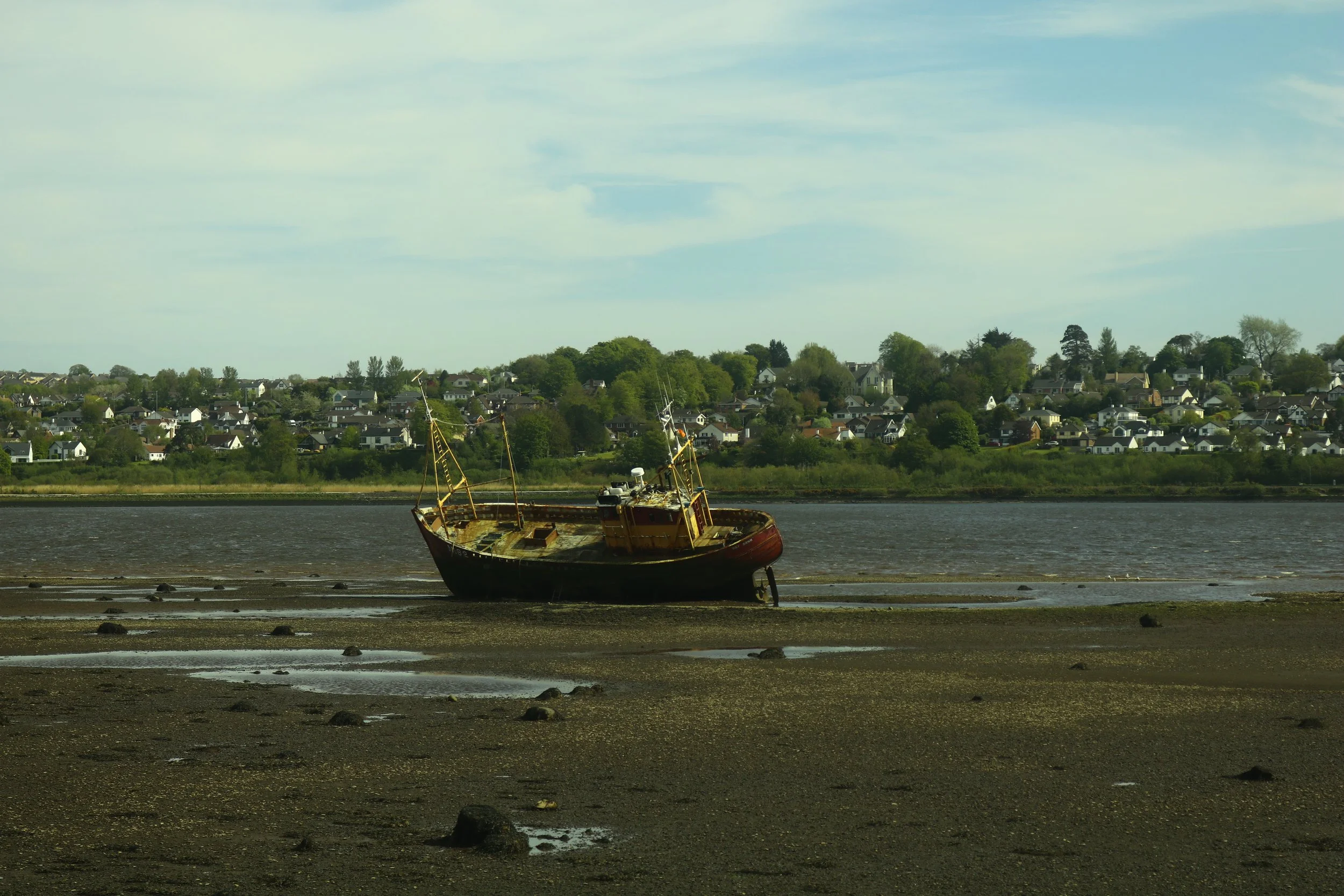 _MG_9205.JPG