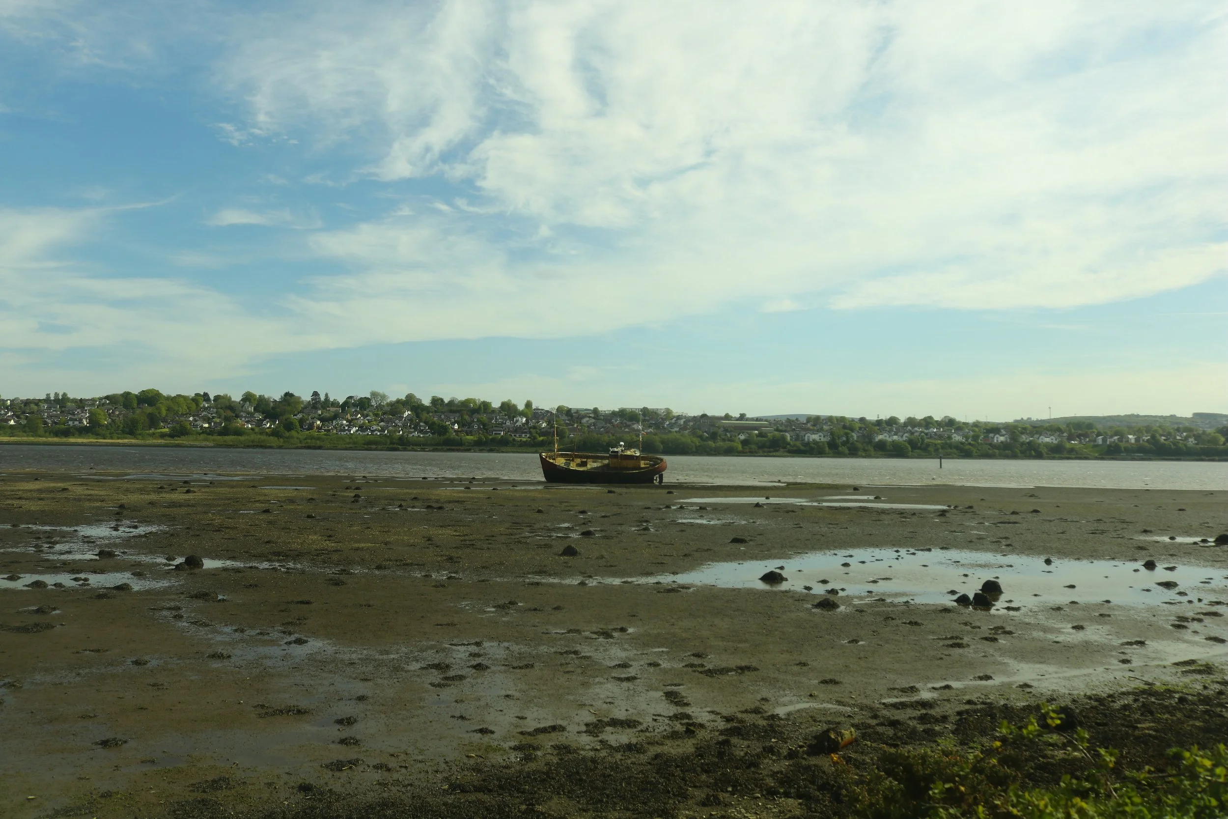 _MG_9217.JPG