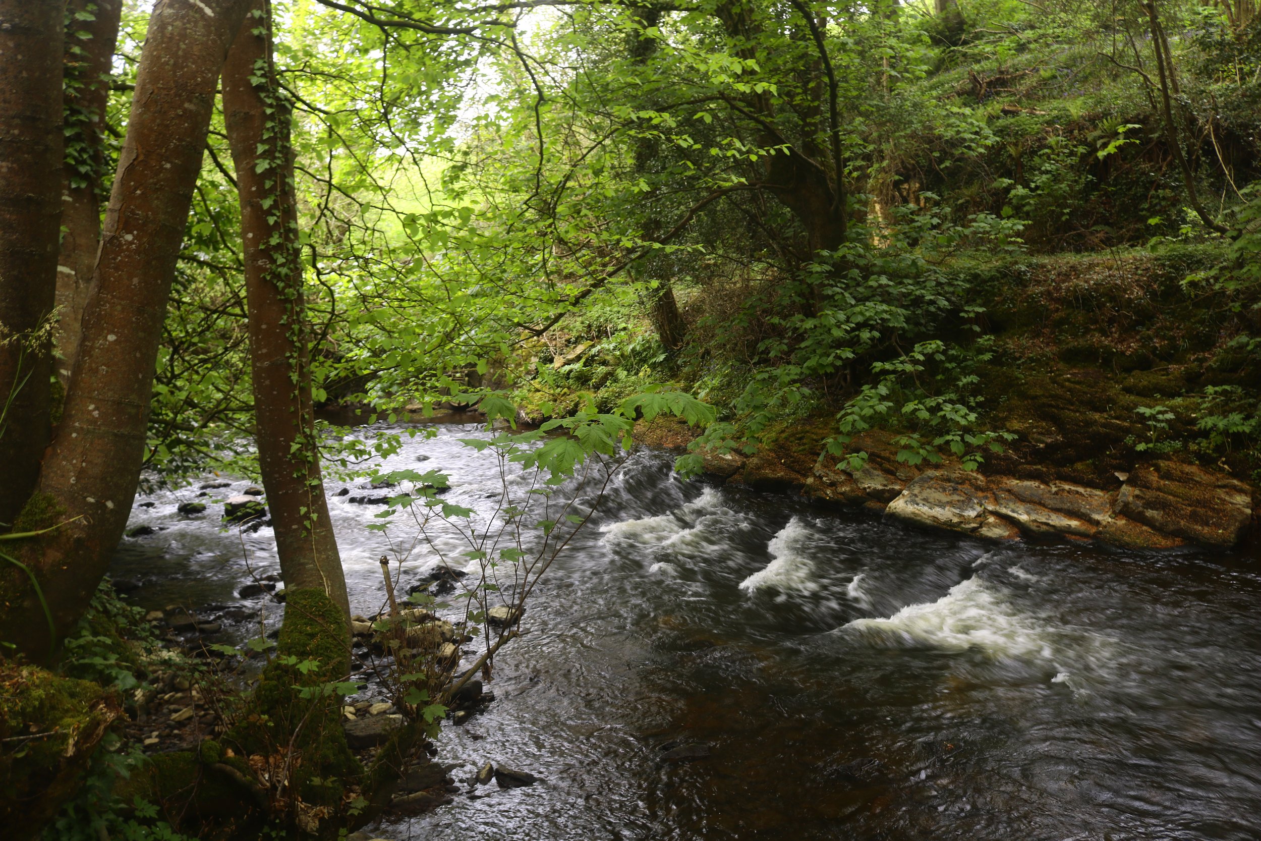 _MG_9234.JPG