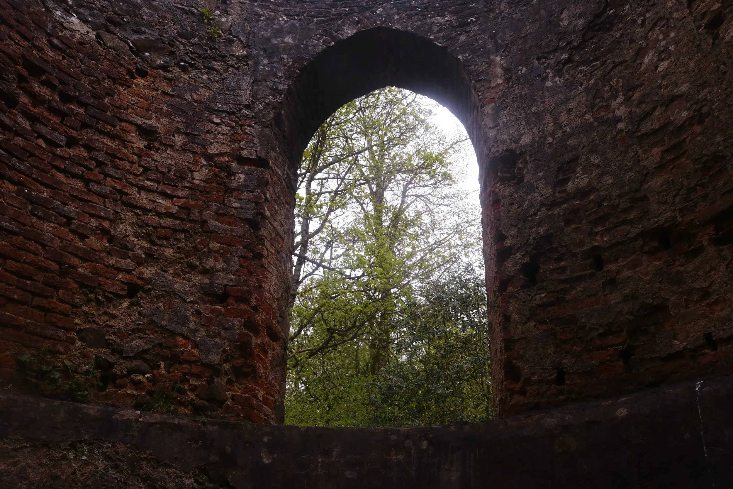 _MG_9310.JPG