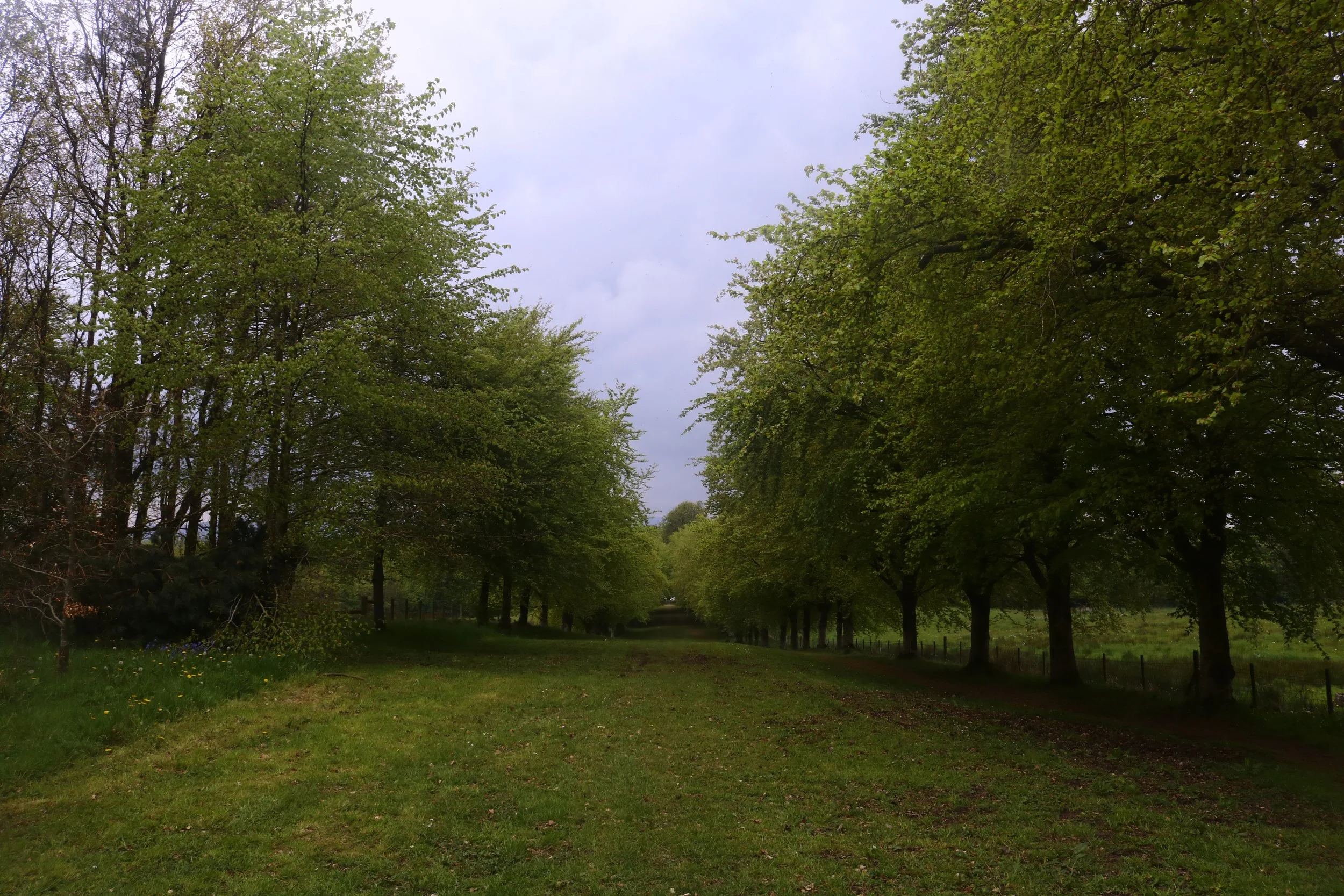 _MG_9313.JPG