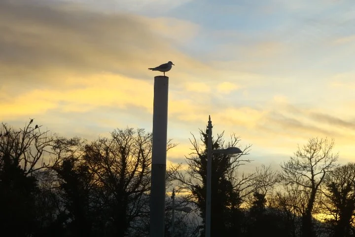 Practice photography