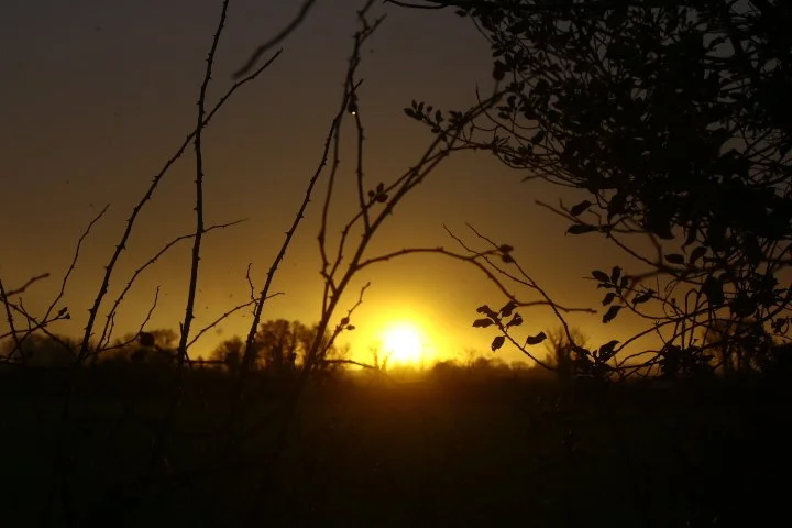 January 3rd, 2026:
A bit of DSLR practice.