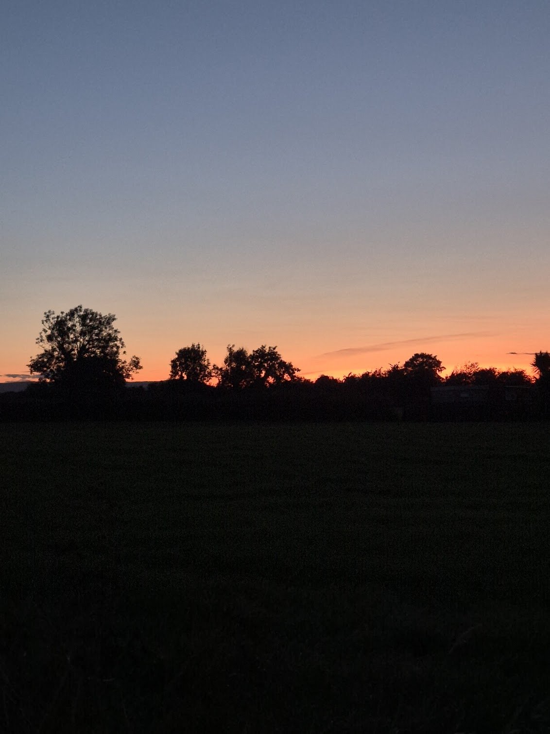 Gym and Glastonbury II
