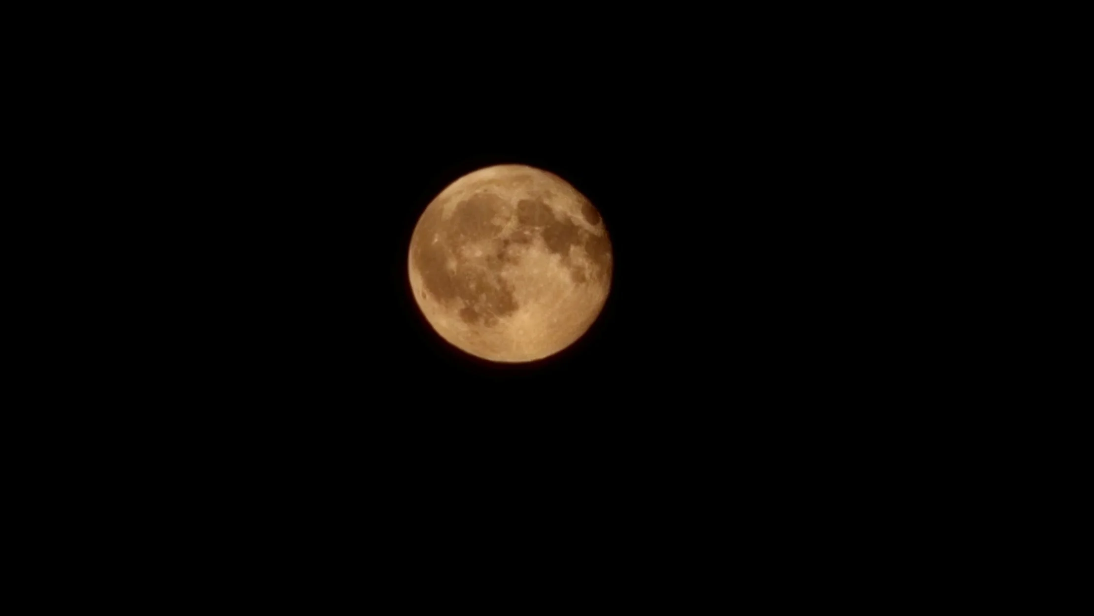 Werewolves’ Delight