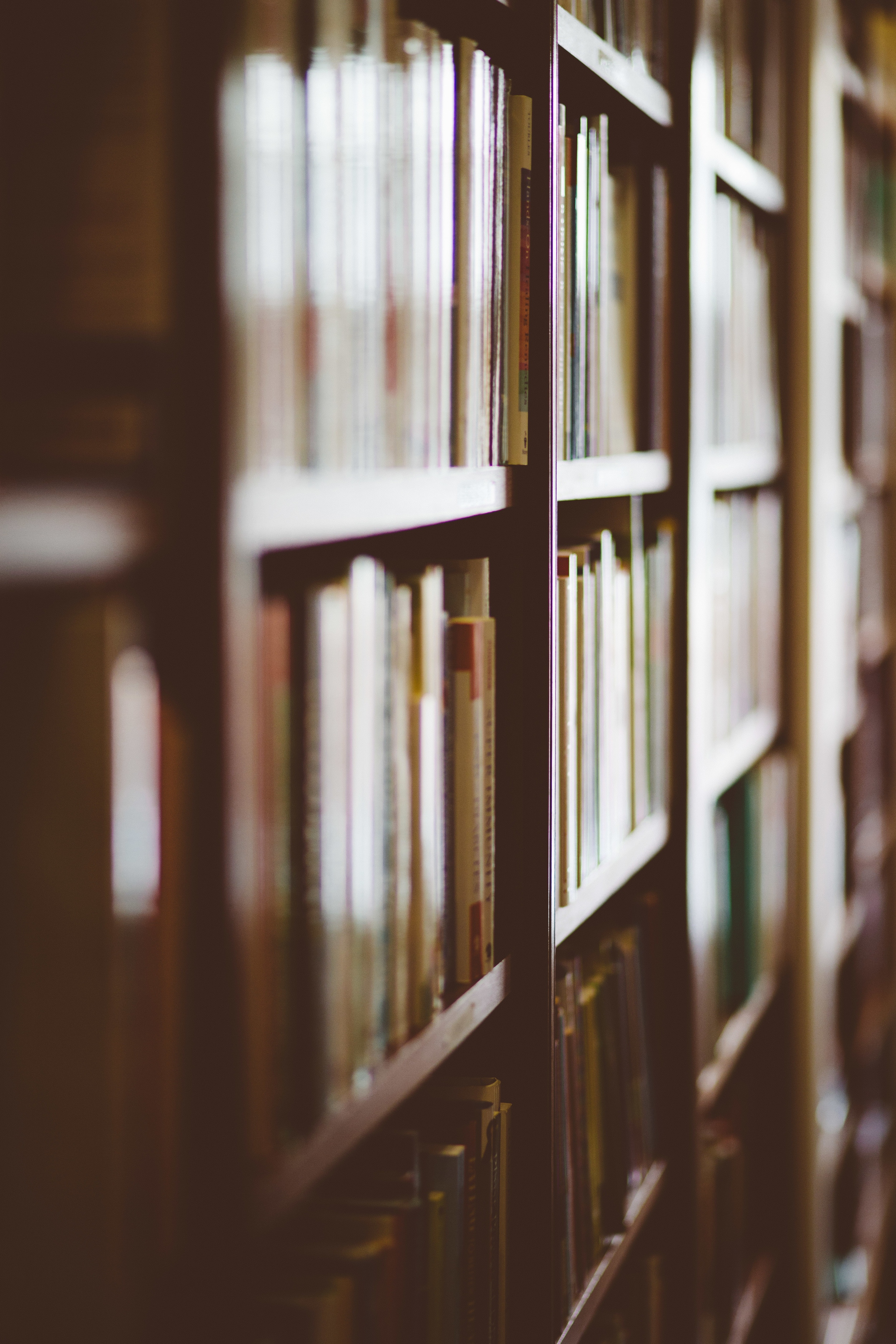 Calamo Books-8136.jpg