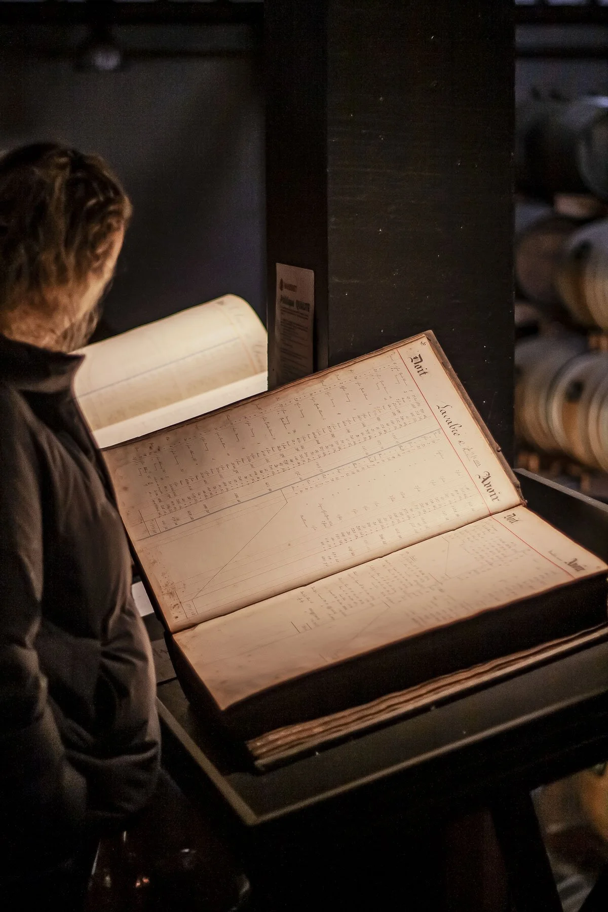 Scénographie d'exposition, valorisation du savoir faire d'entreprise. Intérieur d'un chai à spiritueux, et détail d'un visiteur consultant un vieux carnet de comptes exposé sur un pupitre en bois.