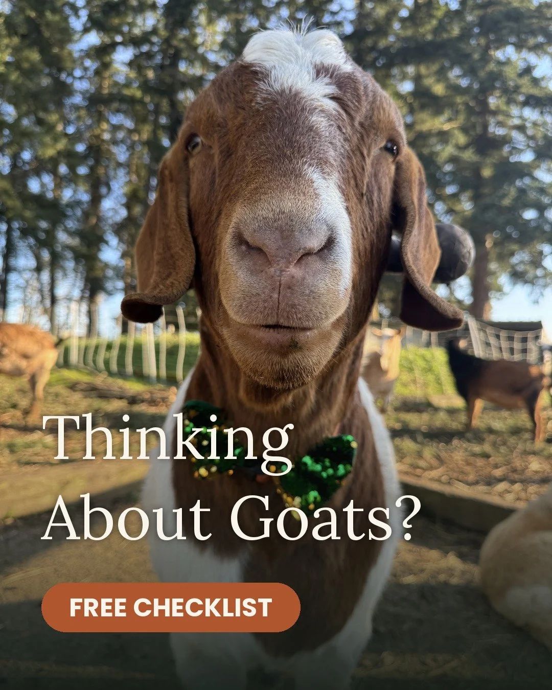 The First-Year Goat Checklist