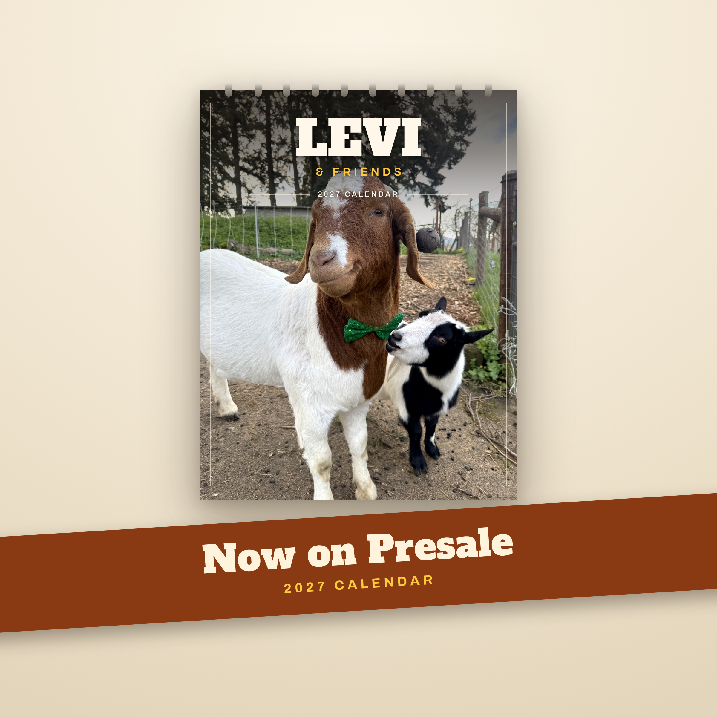 PRE-Sale Levi & Friends 2027 Calendar