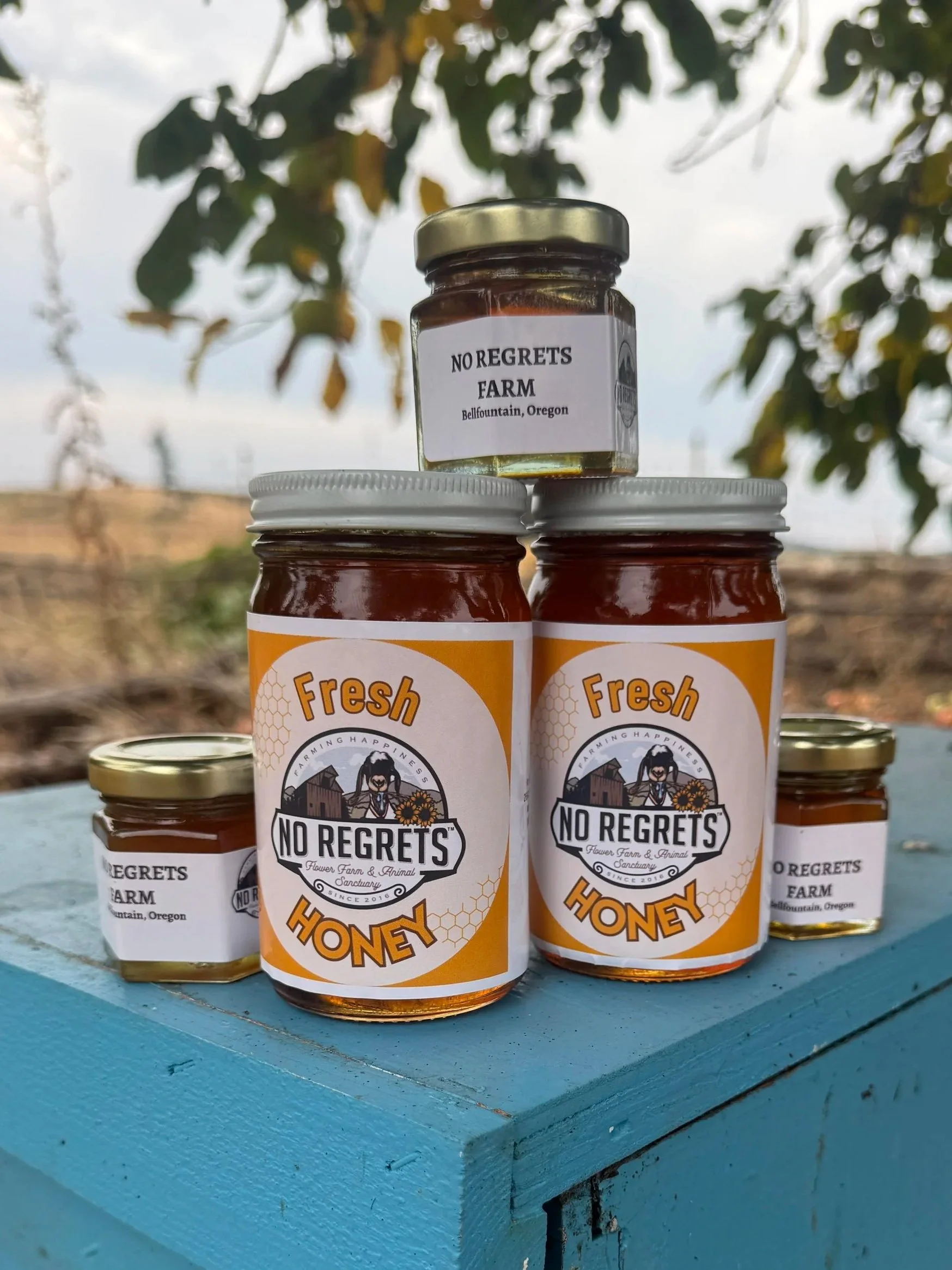 Four jars of No Regrets Farm honey displayed on a blue table outdoors in Bellfountain, Oregon.