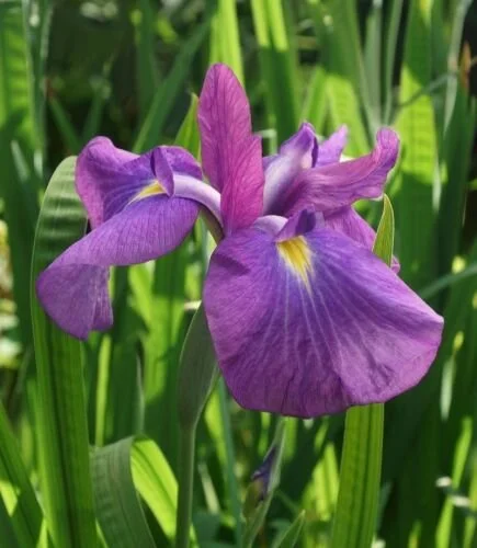 So, what is a Fertility Awareness Educator?