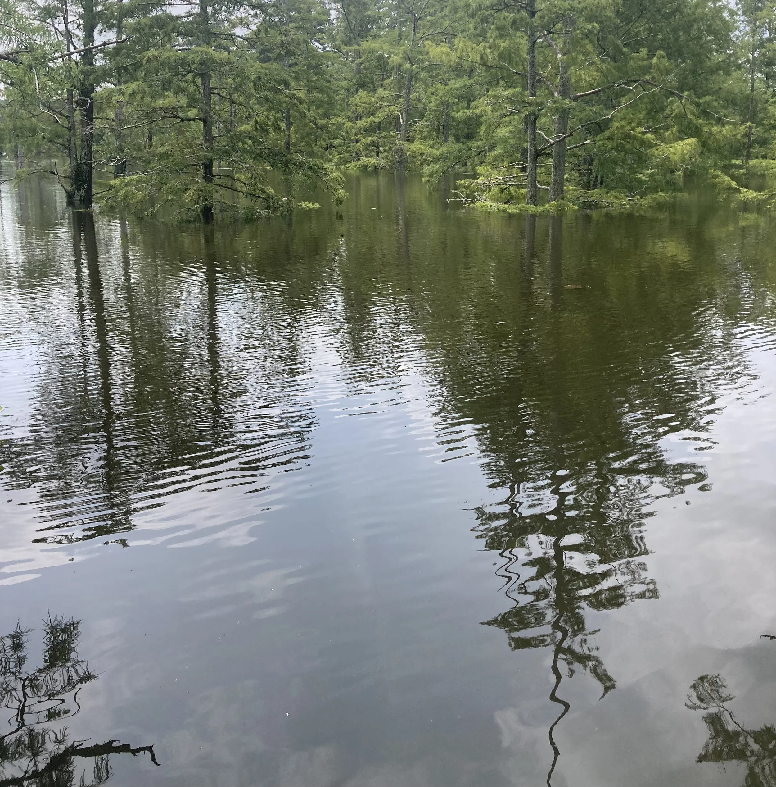 CranioSacral Therapy: Intention &amp; Attention