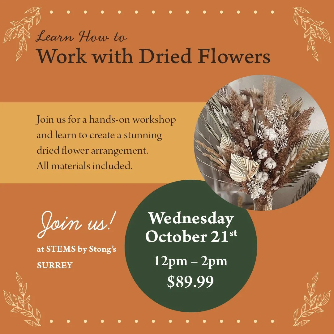 Working with Dried Flowers - STEMS by Stong's Surrey