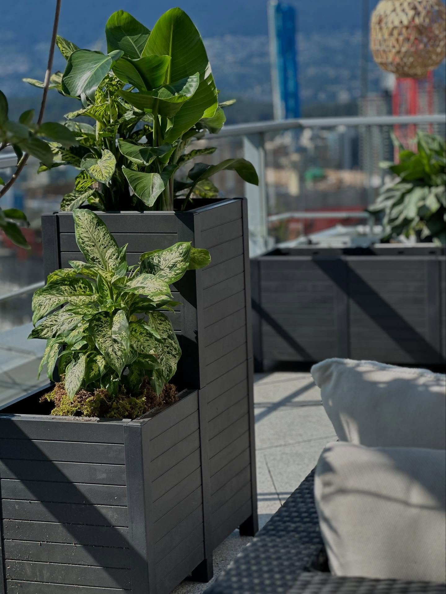 Planters are the perfect blend of creativity and sustainability. They set the vibe for your deck or patio.  Need help with your space?  Visit our STEMS team in store to get lots of great ideas! 

#planters #patioplants #deckplants #summervibes #stems