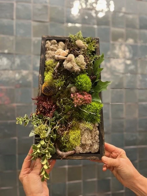 Moss Wall Design