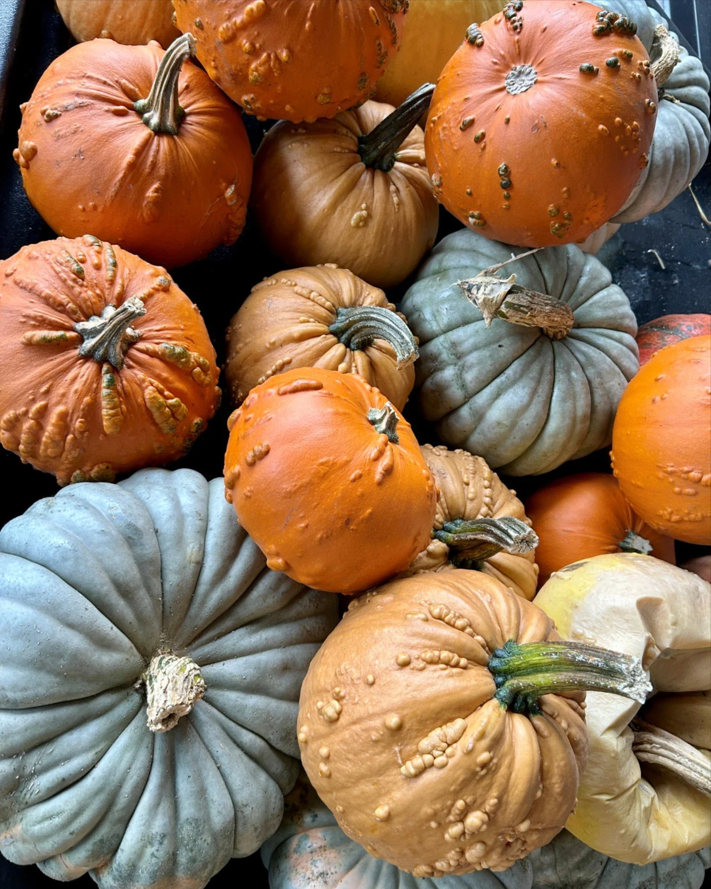 From all of us at Stong&rsquo;s to all of you &ndash; Happy Thanksgiving!  Thanks for supporting local and shopping with us.  We&rsquo;re thankful for awesome customers like you. 🎃🍂

#Stongs #StongsMarket #GroceryStore #ShopLocal #NorthVancouver #I