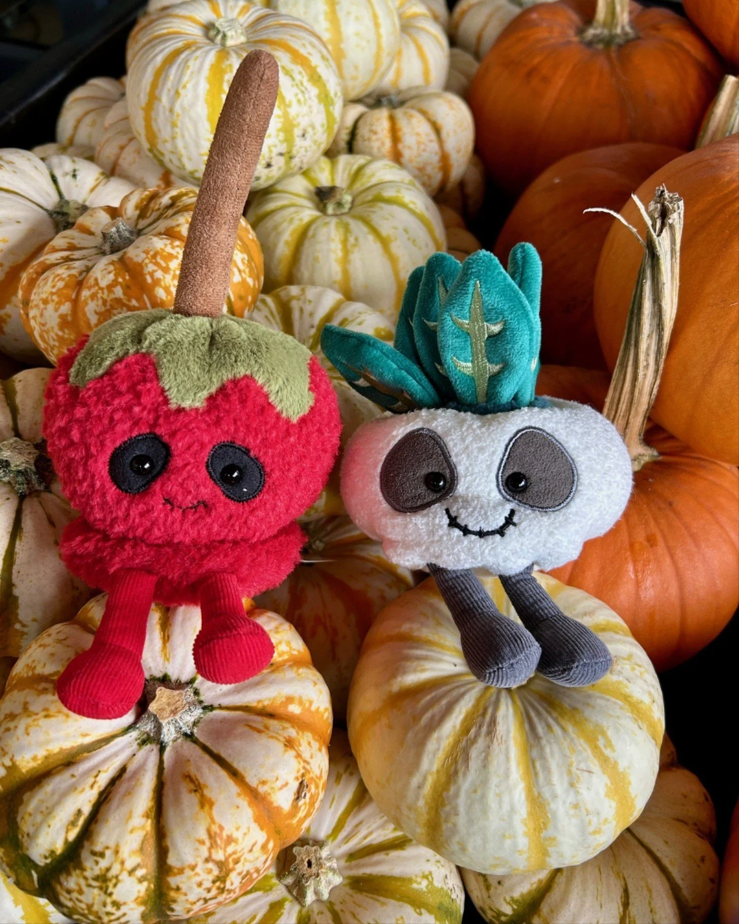 Happy Halloween from all of us at STEMS! 🎃

#STEMS #STEMSByStongs #Florals #Bouquets #FloralArrangements #NorthVancouver #EventFlorals #EverydayFlorals