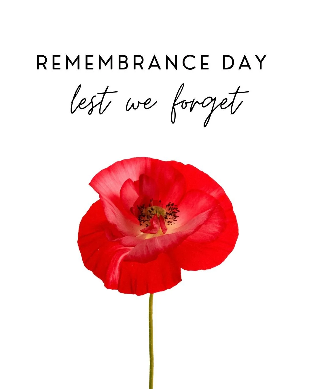 Lest we forget.❤️ On this Remembrance Day, we honour the courage, sacrifice, and service of those who gave everything for our freedom.

#Stongs #StongsMarket #GroceryStore #ShopLocal #NorthVancouver #IndependentGrocer