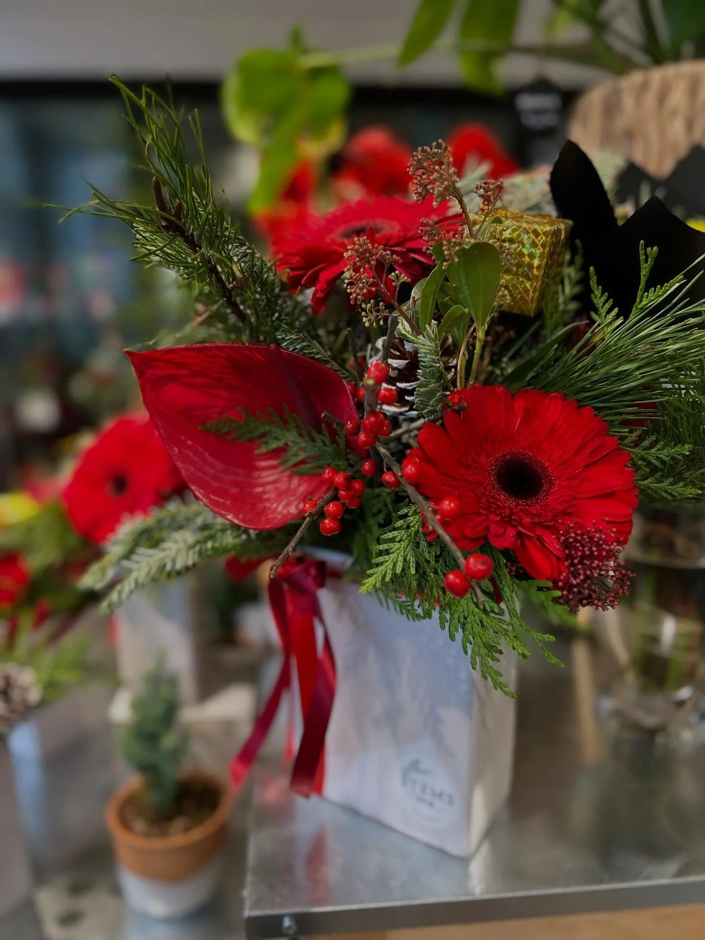 A seasonal arrangement is a great way to bring in holiday colours and fragrance to your home! ❤️

#stemsbystongs #seasonalflowers #christmasbouquet
