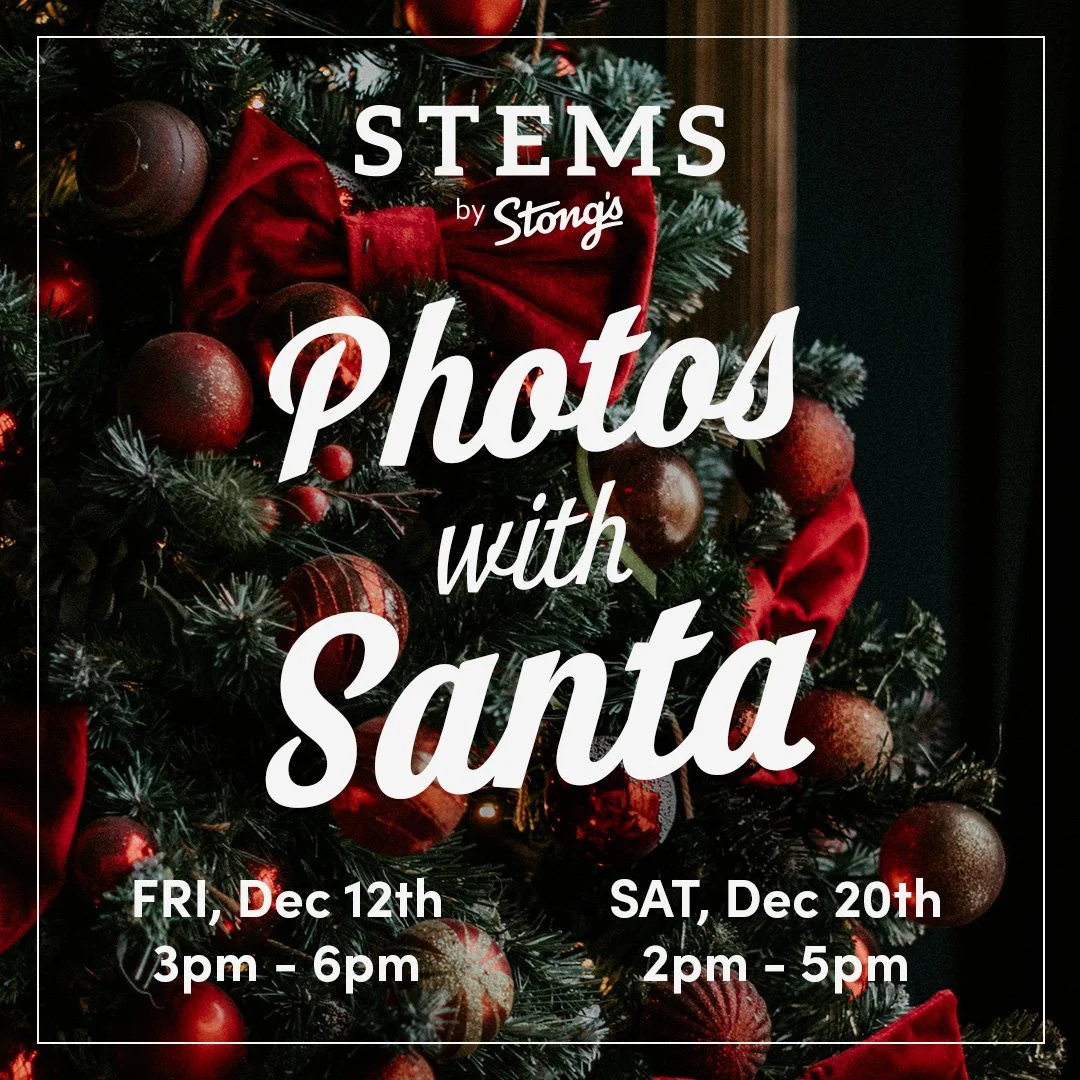 Photos with Santa