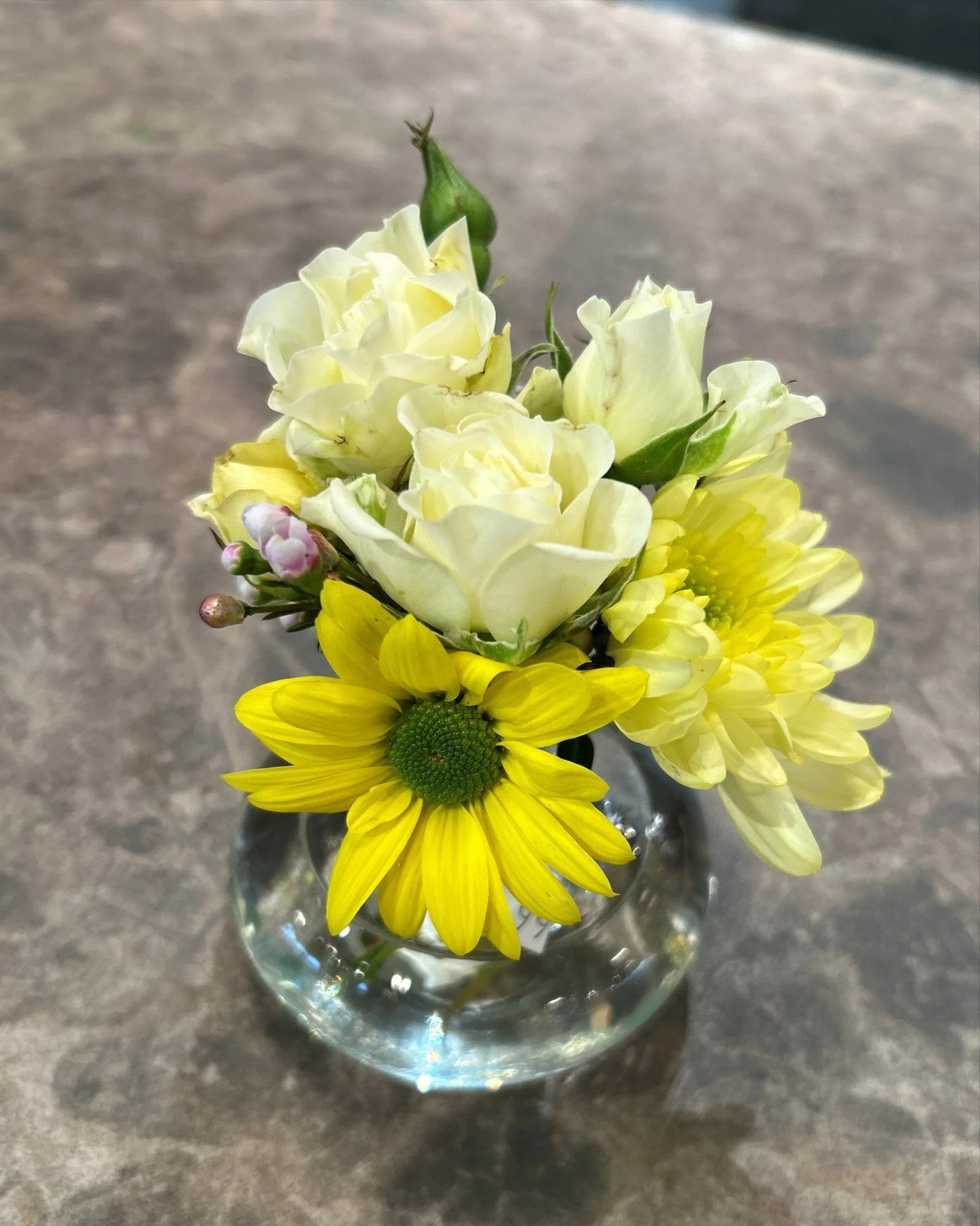 Tiny blooms, big joy. Perfect for the little corners of your space. 🌼

#STEMSByStongs #Florals #Bouquets #FloralArrangements #FreshFlorals