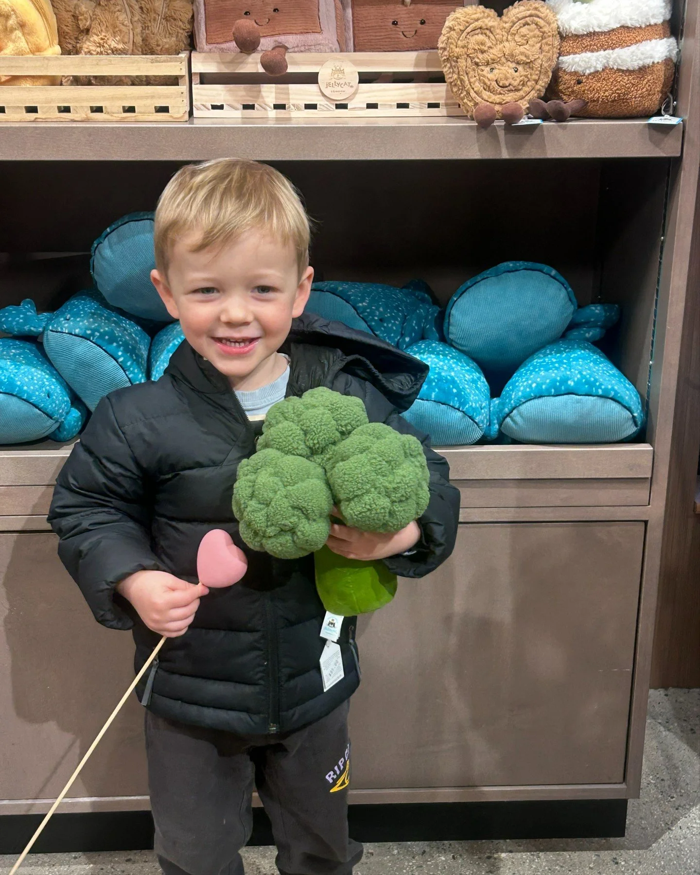 One of our favourite familiar faces- with the only broccoli that makes kids smile. 🥦

#STEMSByStongs #Florals #Bouquets #FloralArrangements #Jellycat