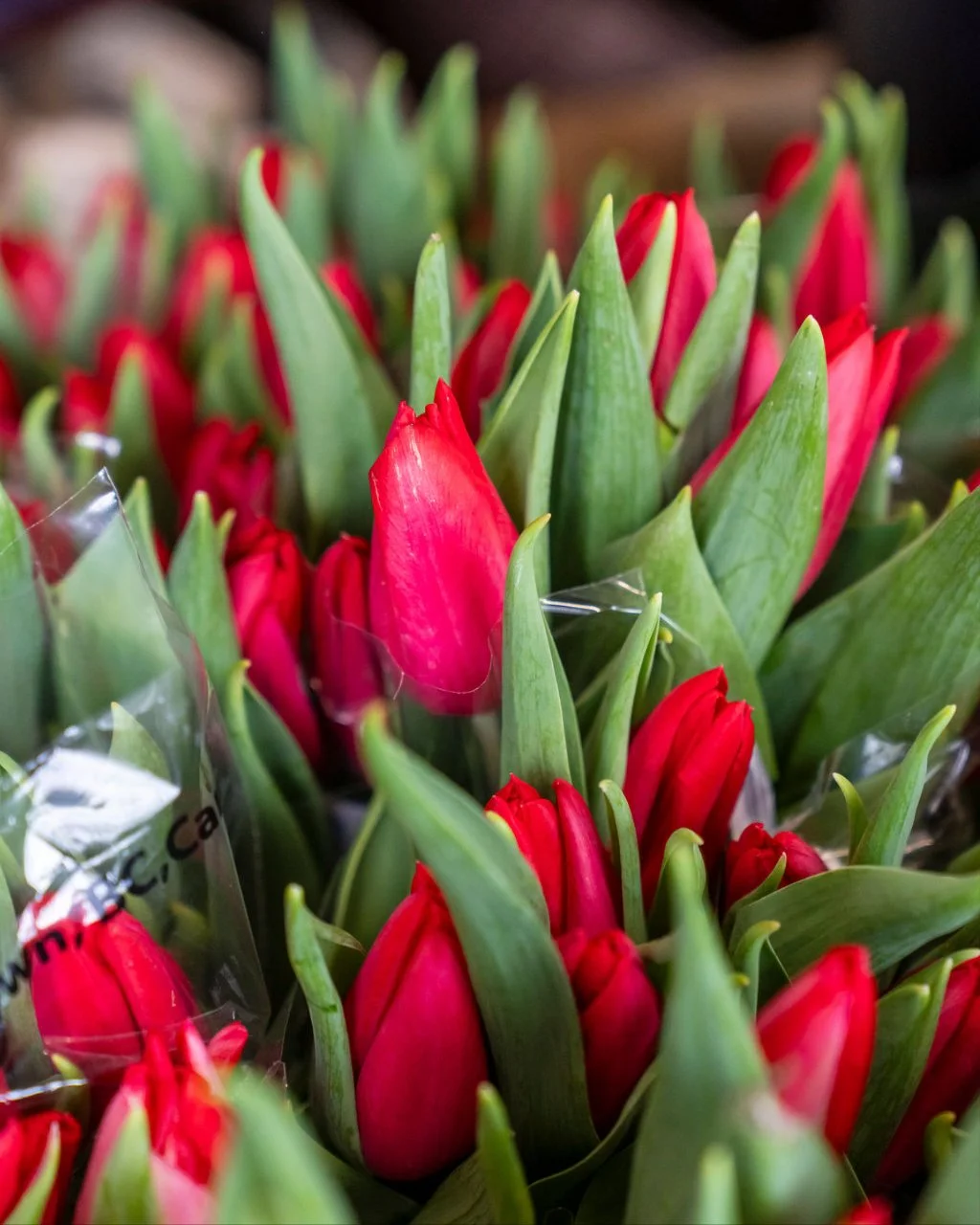 We made it! Spring has officially landed. 🌷

#StongsMarket #GroceryStore #ShopLocal #IndependentGrocer