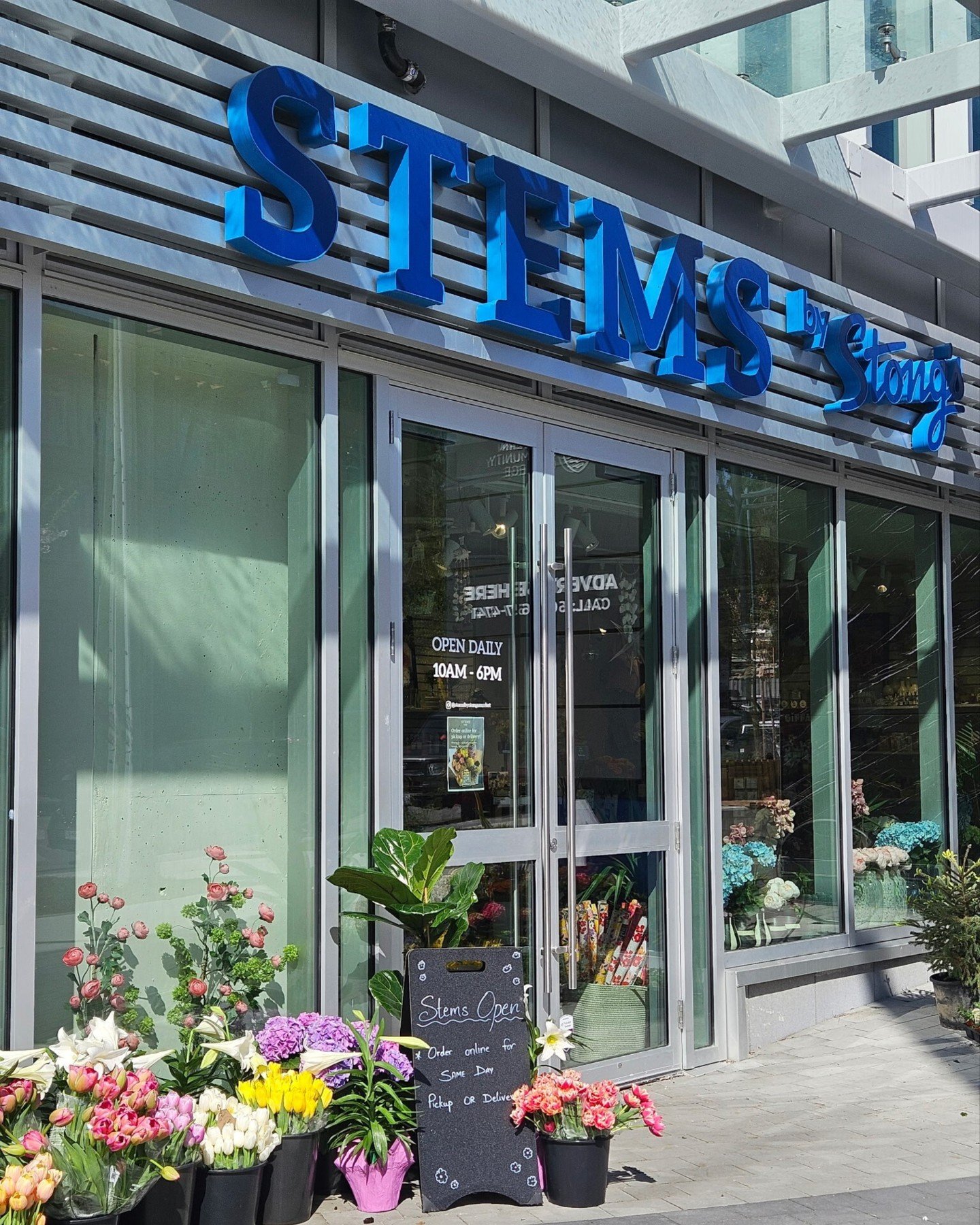 Our STEMS by Stong&rsquo;s is now open in Surrey at City Centre 4! Fresh florals, curated giftware, and thoughtful little luxuries &mdash; all in one beautiful new space. Come say hi and explore what&rsquo;s blooming. ✨🌷

#STEMSByStongs #SurreyBC #F