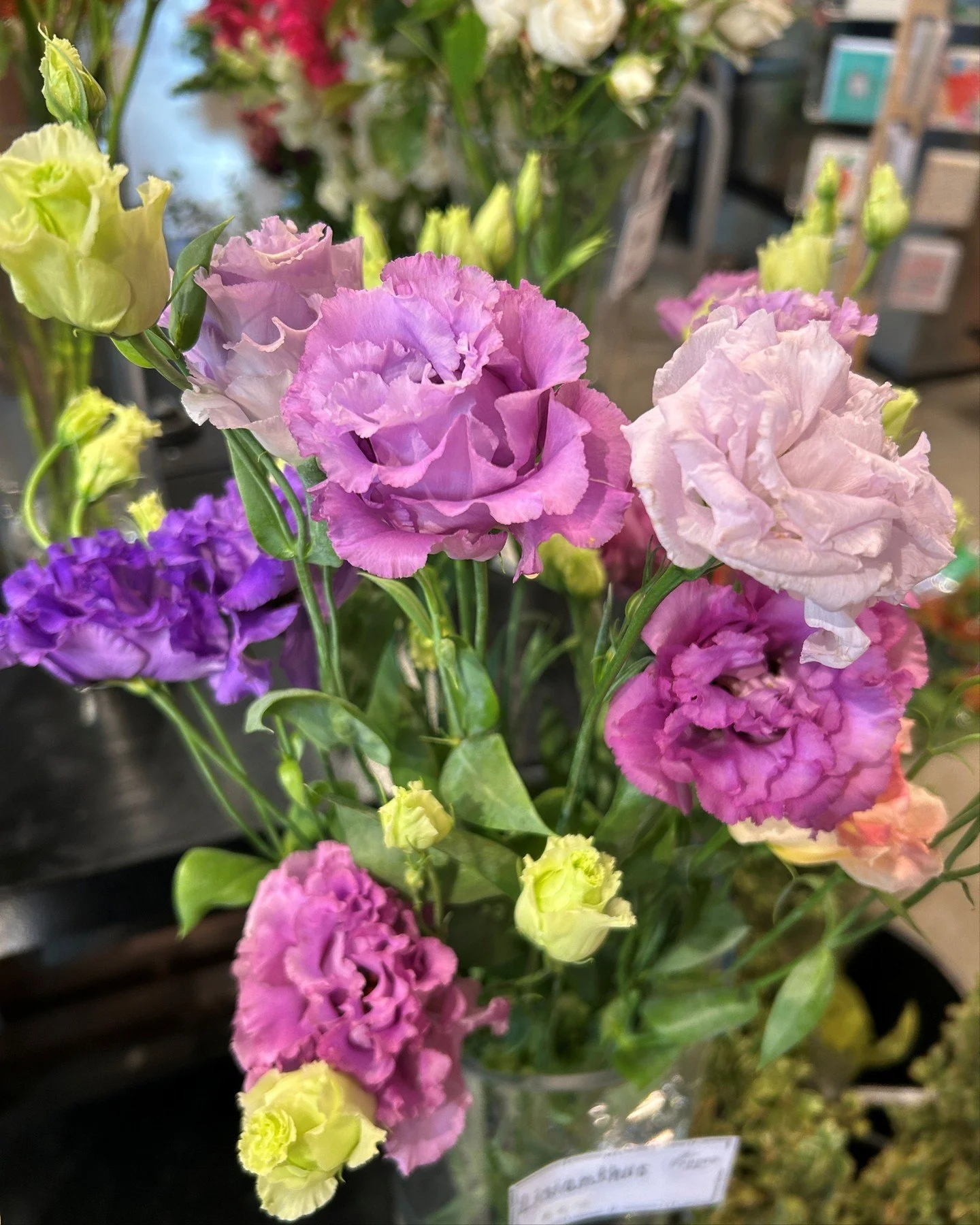 Happy Victoria Day long weekend! Did you know purple has been linked to royalty for centuries because the dye was once incredibly rare and expensive? A perfect colour for a queen. 💜

#STEMSByStongs #Florals #Bouquets #FloralArrangements
