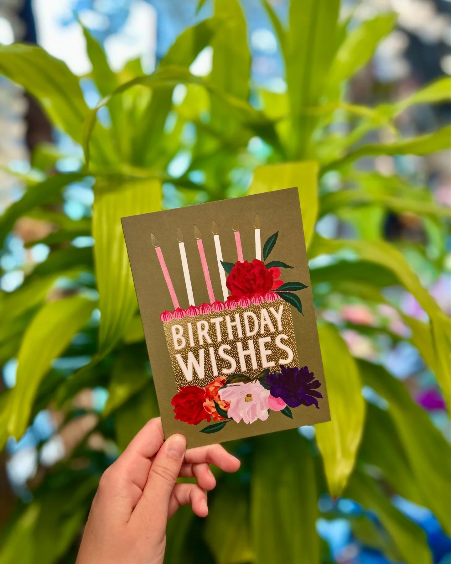 Happy Birthday to the tender‑hearted Cancer. Keep shining, keep feeling, keep loving big! 🎂

#STEMSByStongs #Florals #Bouquets #FloralArrangements #CancerSeason
