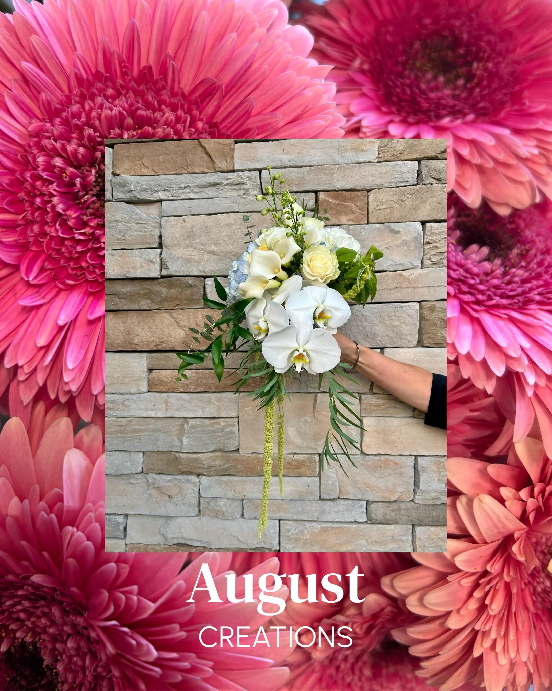 August was a beautiful month for creativity. 💐
&nbsp;
From weddings and special projects to &ldquo;just because&rdquo; bouquets and everything in between, our team has been busy bringing floral visions to life!
&nbsp;
We look forward to seeing what 