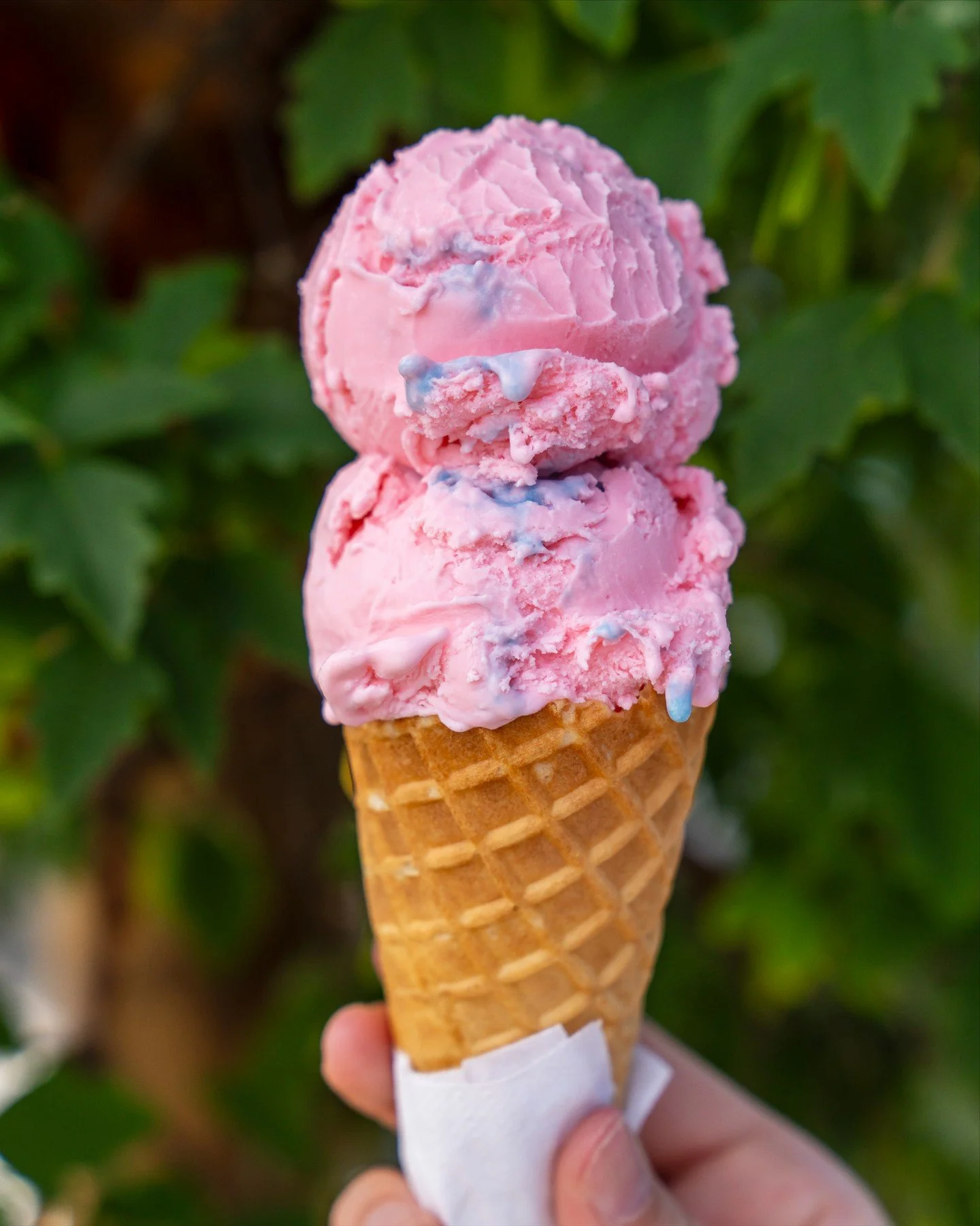 Cotton candy dreams. 💗 💙

#StongsMarket #GroceryStore #ShopLocal #IndependentGrocer