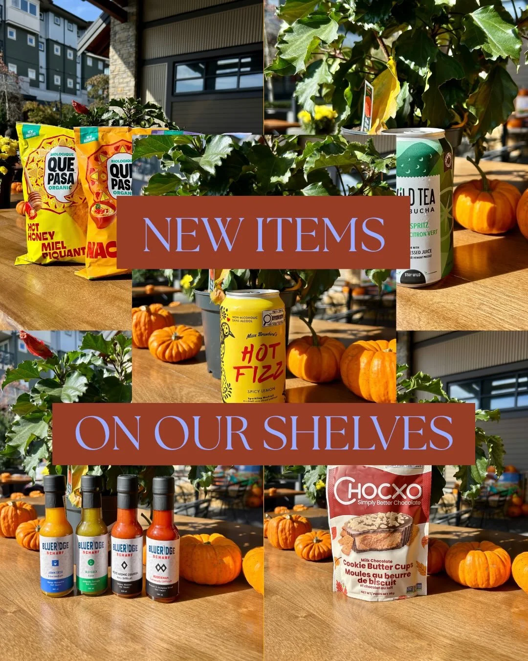 What&rsquo;s new at Stong&rsquo;s? 

From bold snacks and refreshing sips to new local finds, we&rsquo;ve stocked our shelves with a few new products we think you&rsquo;ll love! 💙 
#stongsmarket #shoplocal #canadianbrands #hyperlocal