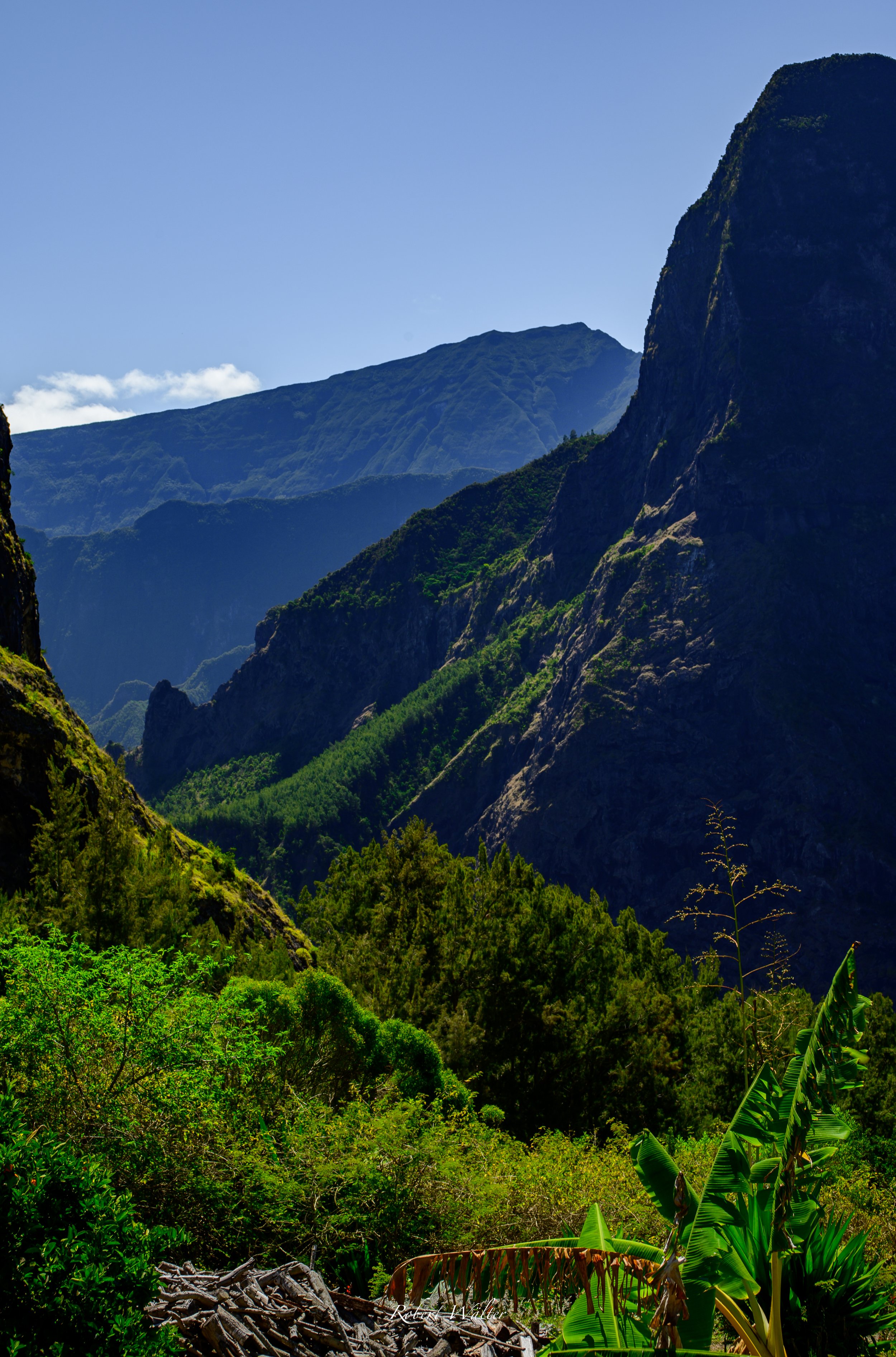 LaReunion-2.jpg