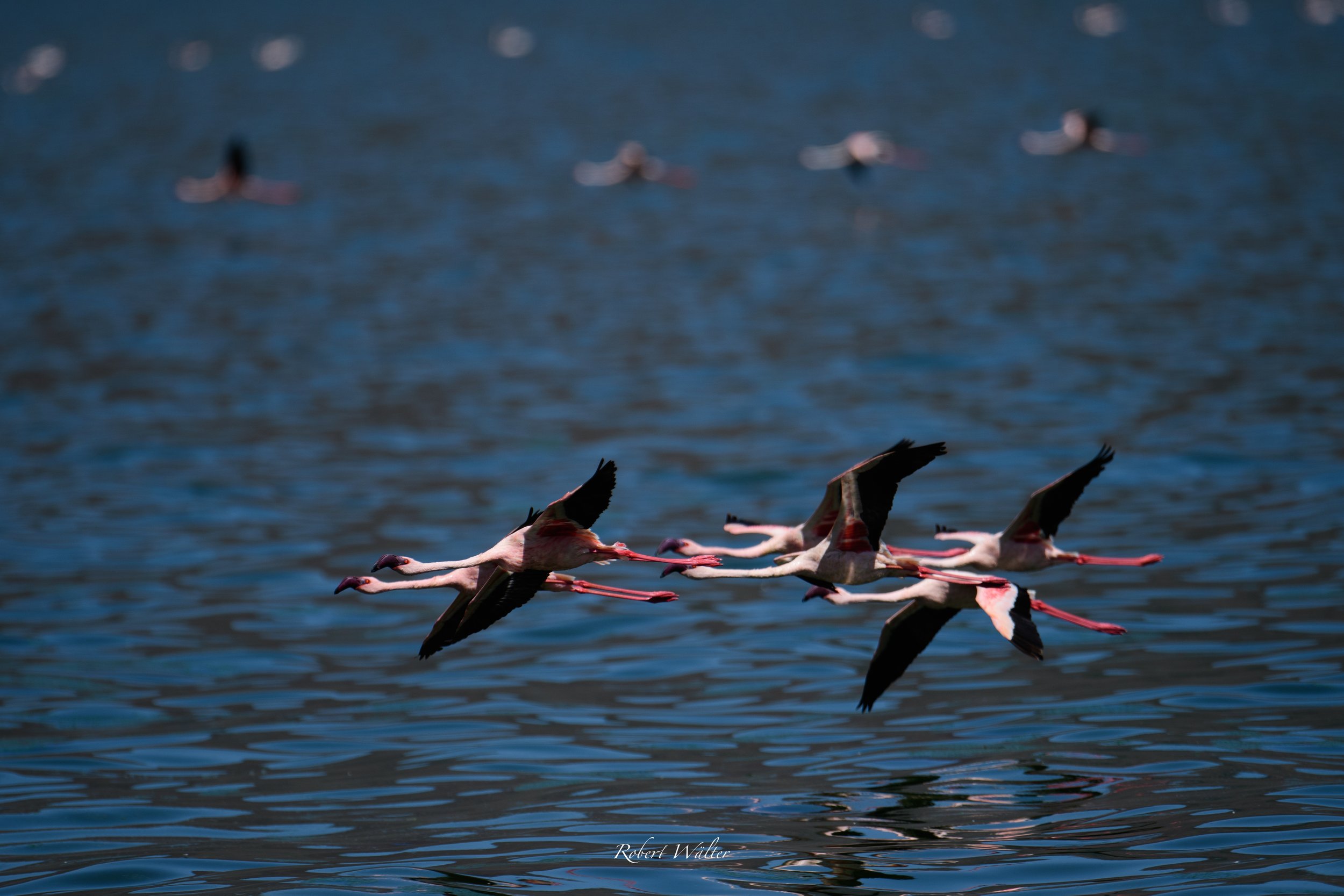 Kenia-10.jpg
