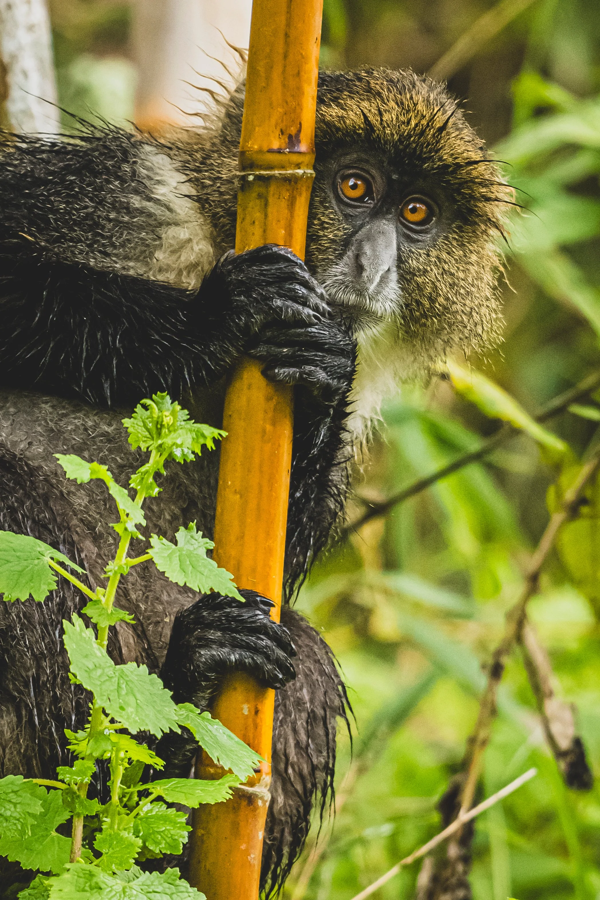 robert.waelter_wildphoto.guide1-3.jpg