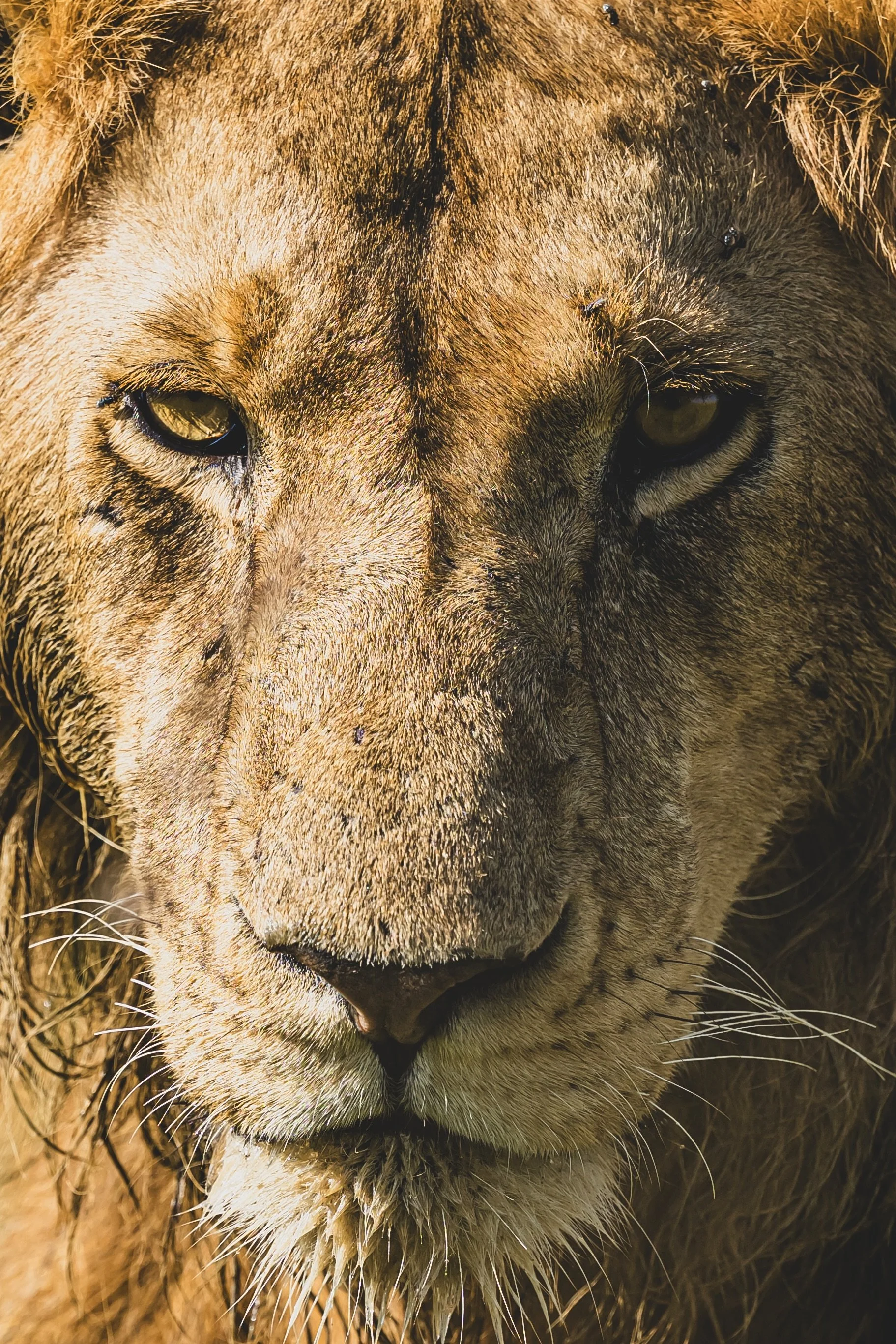 robert.waelter_kenya_wildphoto.guide-6.jpg