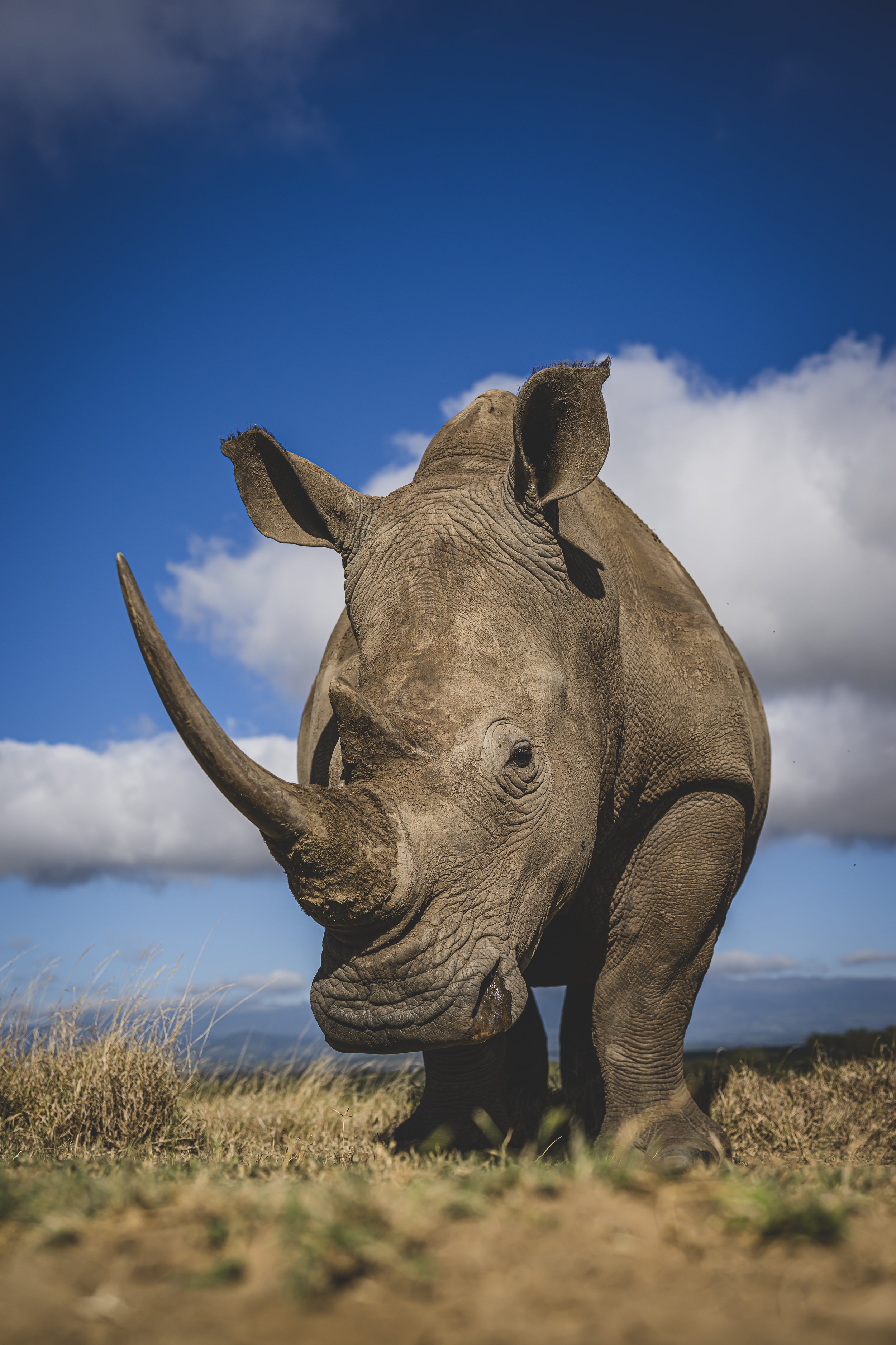 robert.waelter_kenya_wildphoto.guide-360.jpg