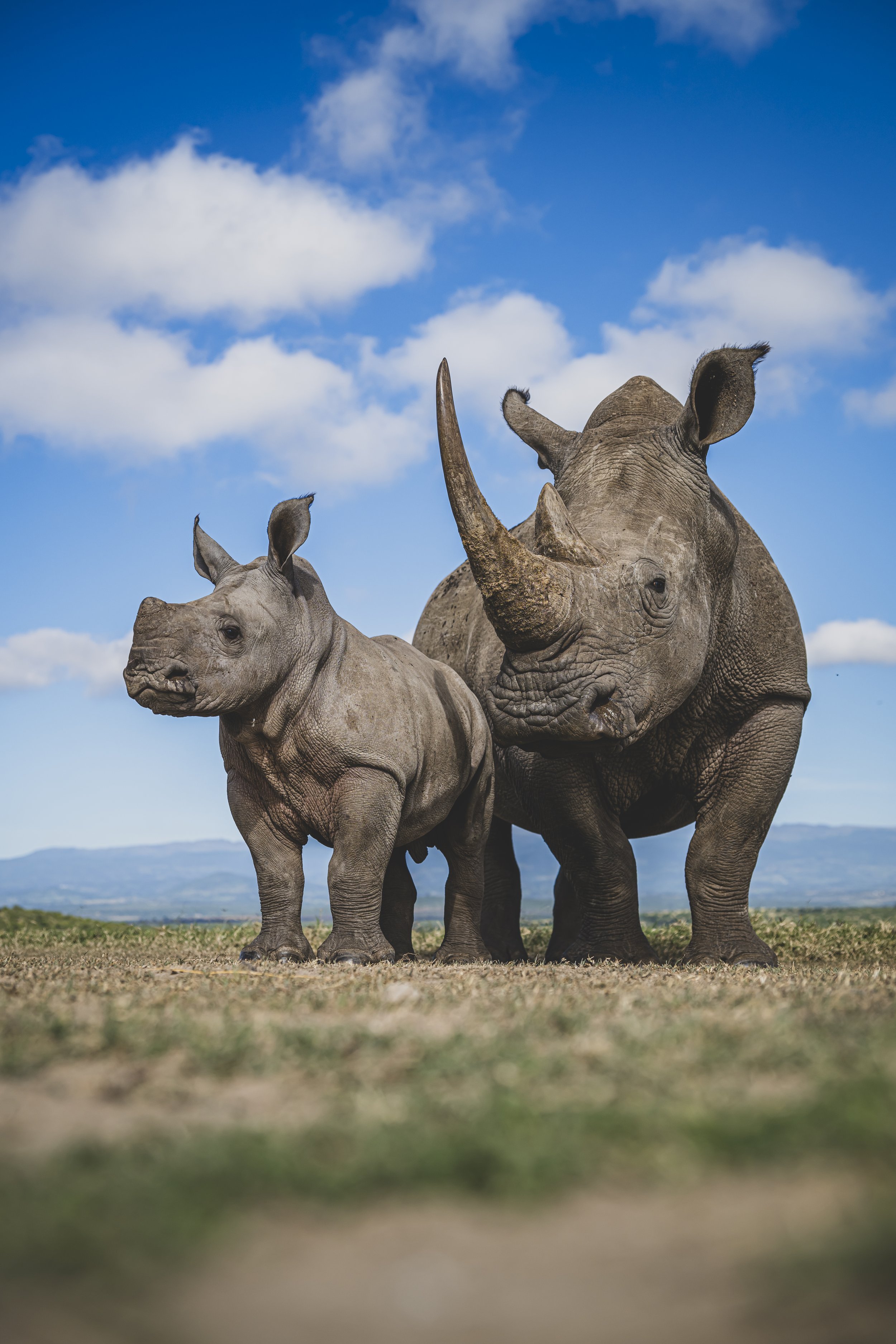 robert.waelter_kenya_wildphoto.guide-6.JPG